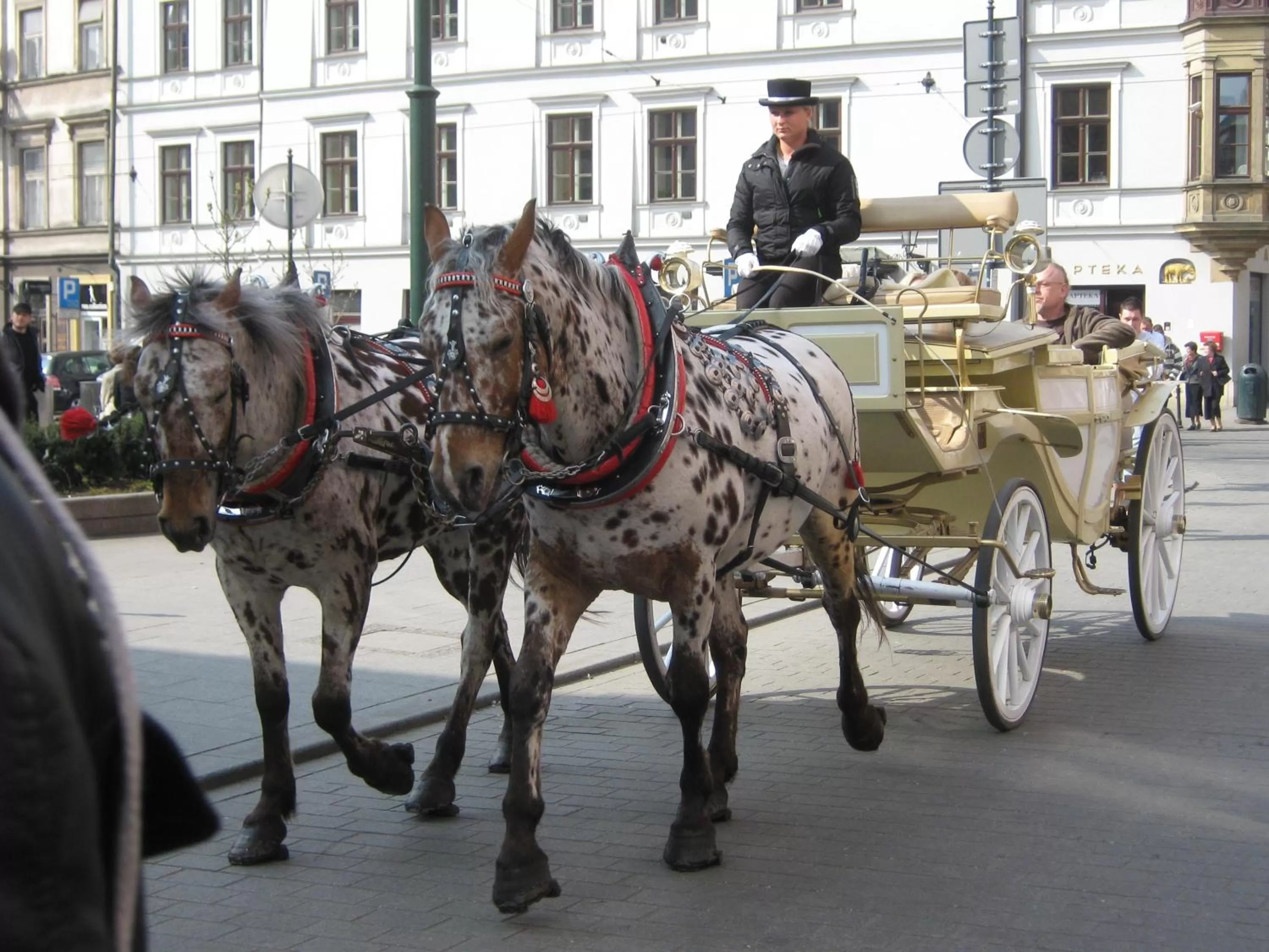 Area and facilities in Résidence Tournet