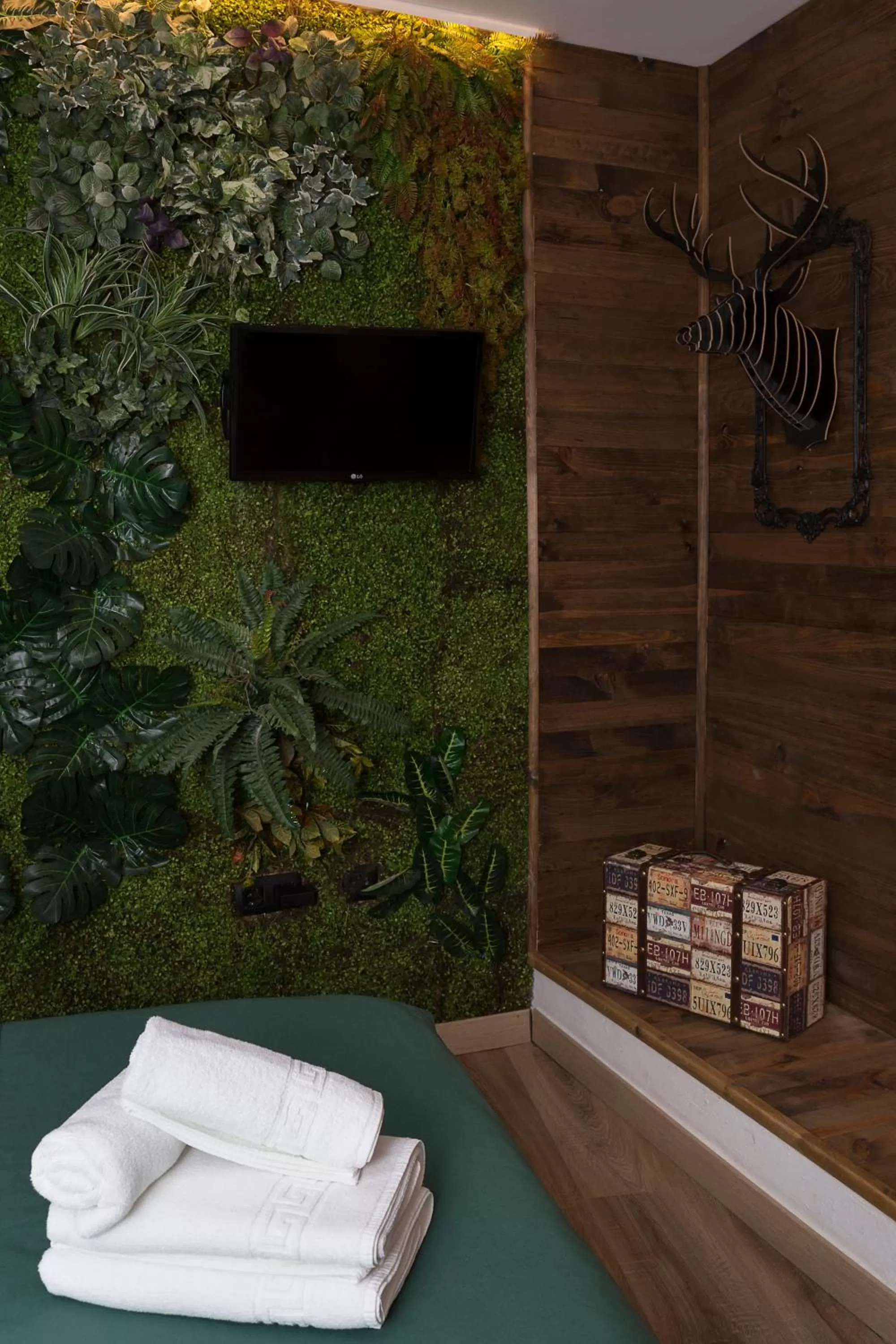 TV and multimedia in Hotel Posada de las Cuevas