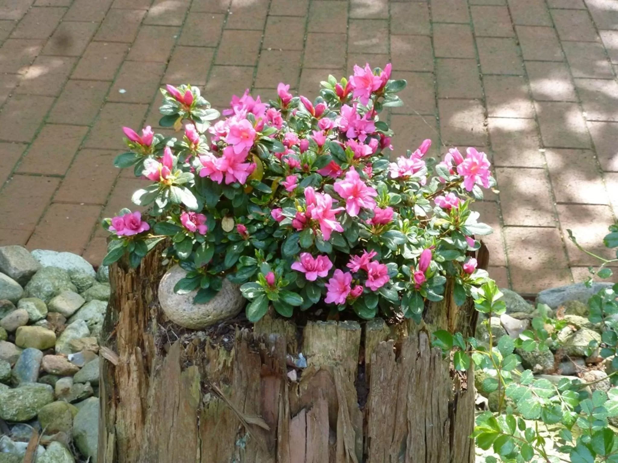 Summer in Landhotel Gutshof im Oertzetal in Oldendorf, Südheide