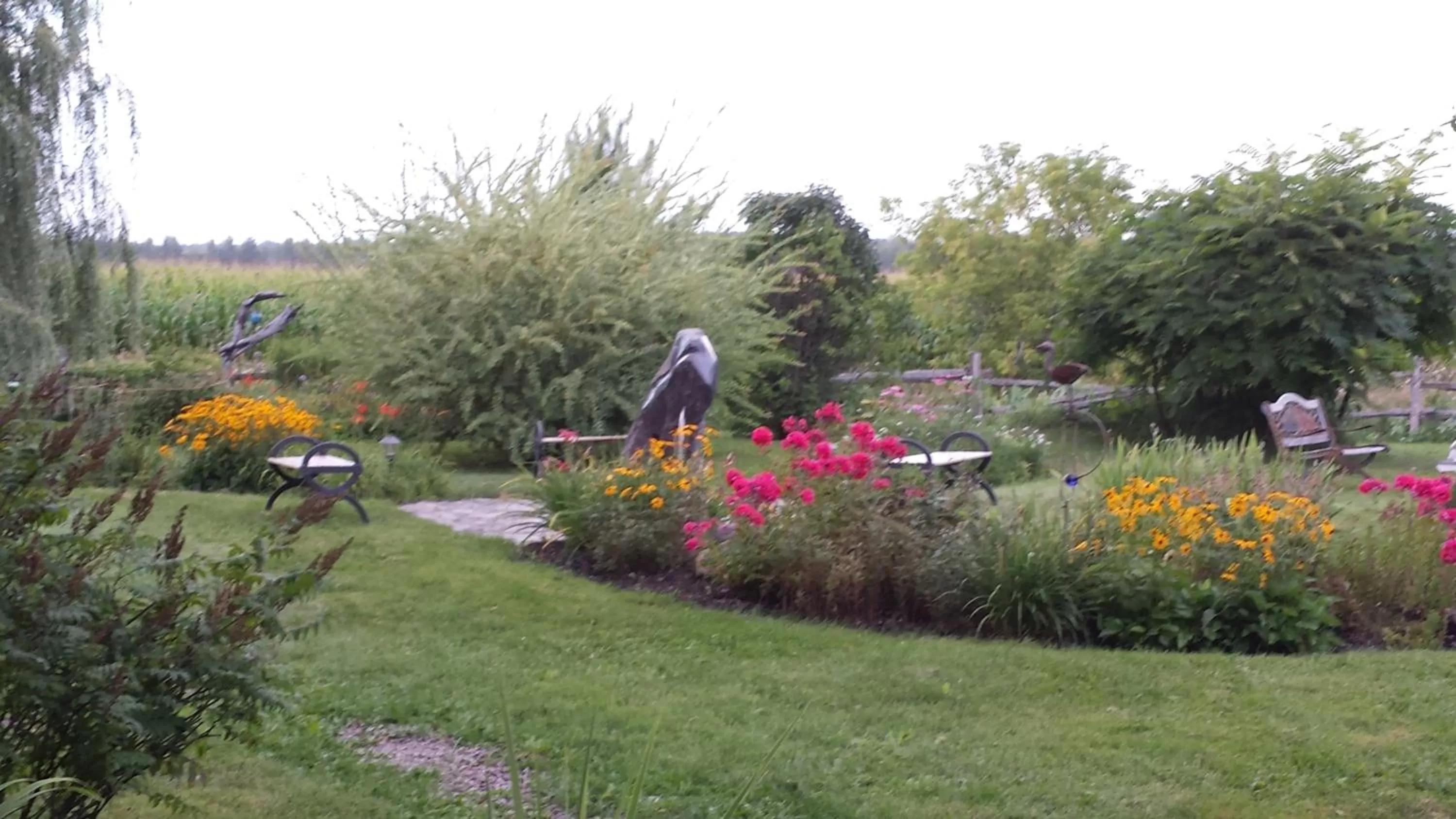 Garden view in Atelier Galerie Anne Drouin Peinture & Pension