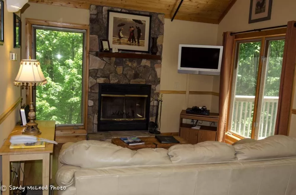 Living room, Seating Area in Asheville Cabins of Willow Winds