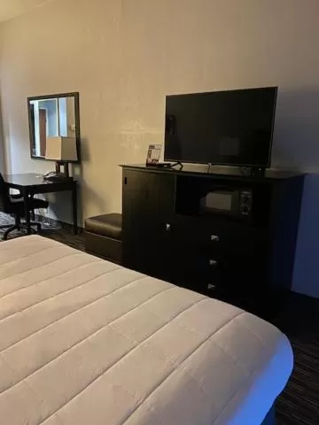 TV and multimedia, Bed in Lakeside Resort & Conference Center