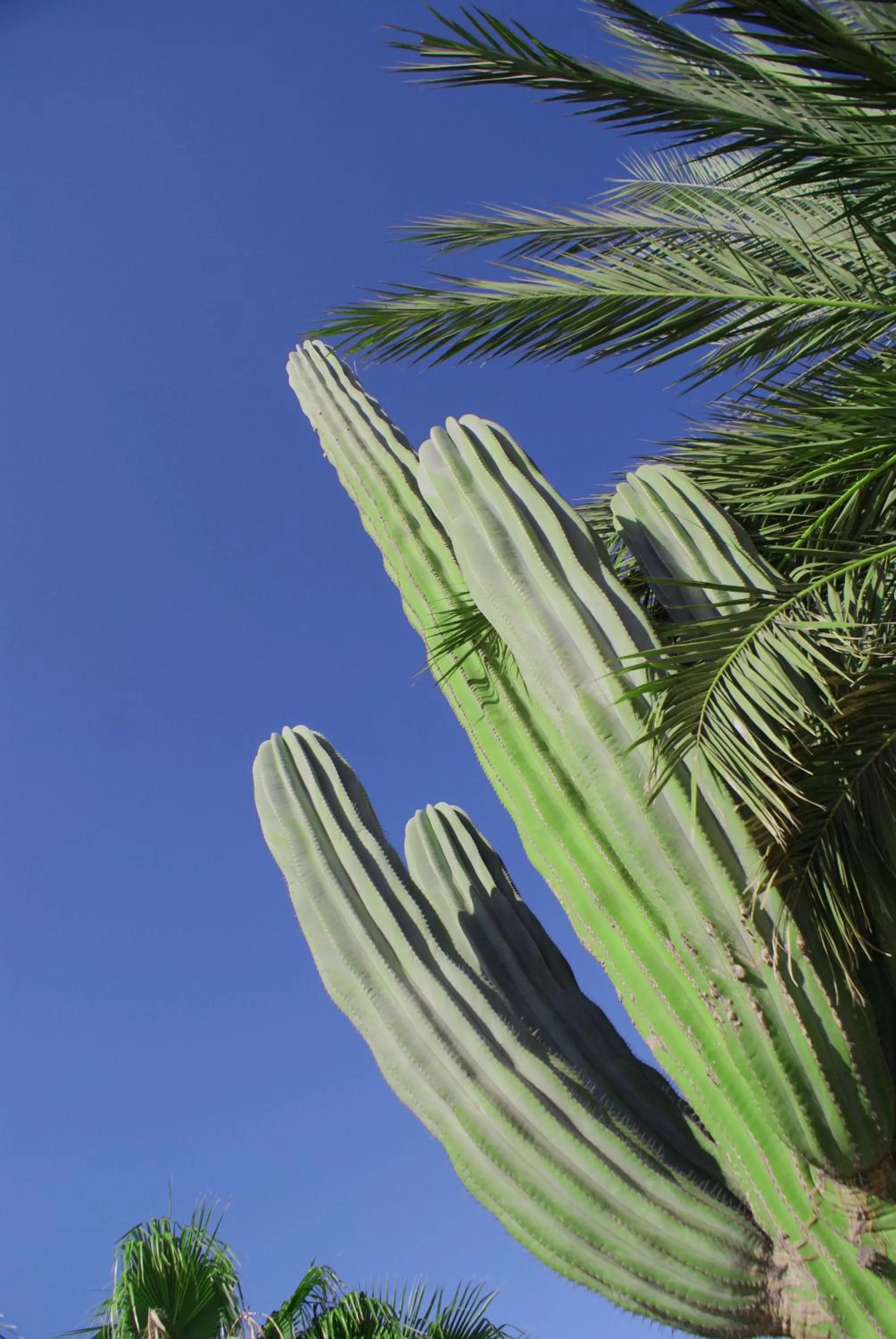 Nearby landmark in Club Cantamar Beach Hotel & Marina