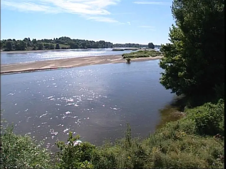 Natural landscape in Logis Hôtel Restaurant Le Coq Hardi