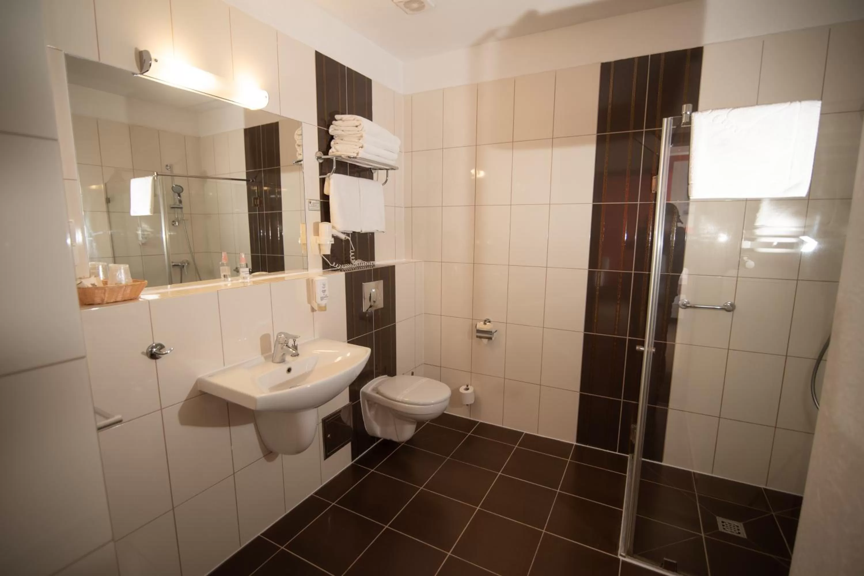 Shower in Hotel Zamek Gniew