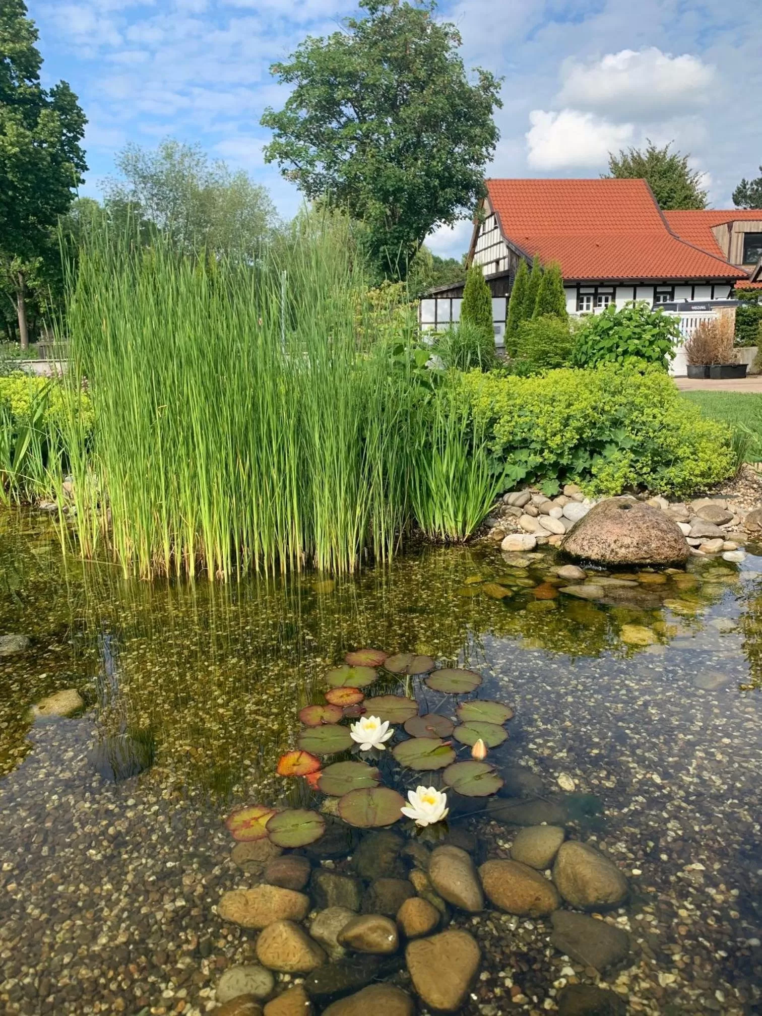 Garden in Hotel Storck