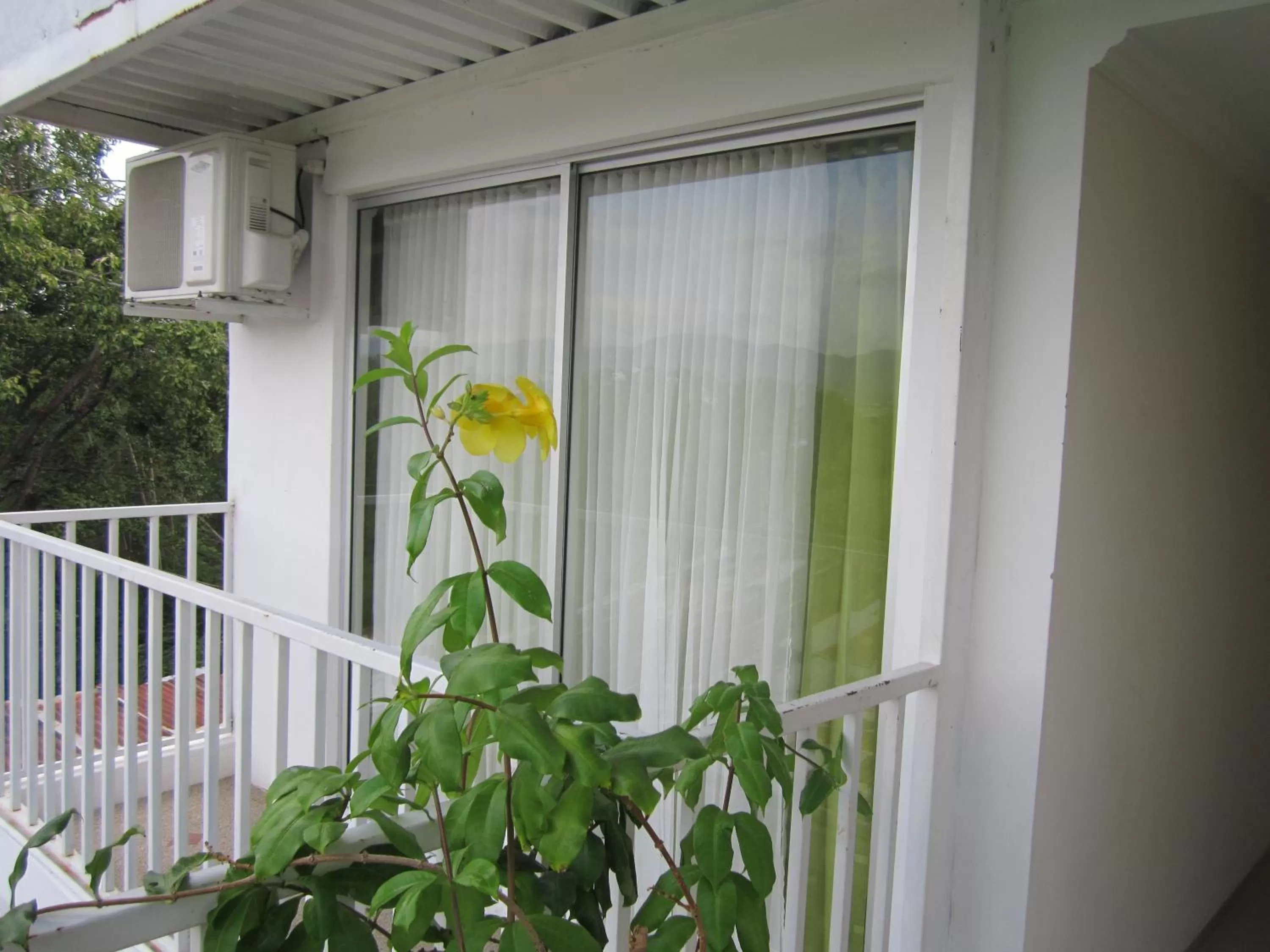 View (from property/room) in Mirador de San Jorge