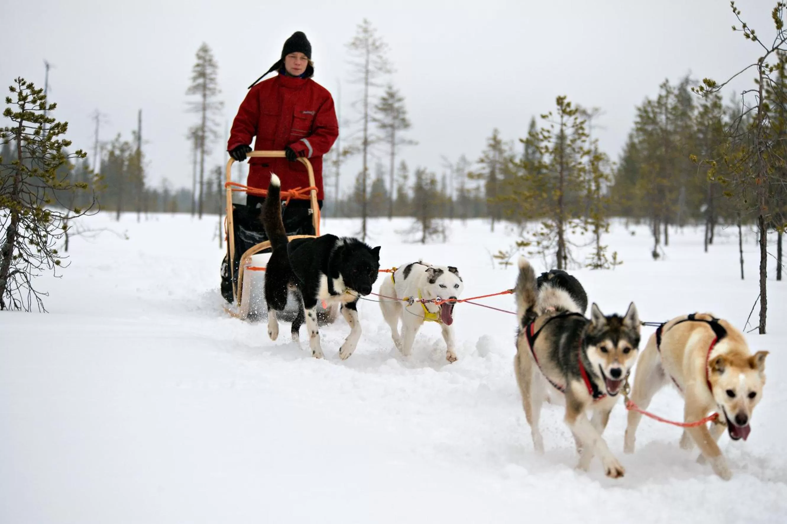 Activities in Lapin Satu