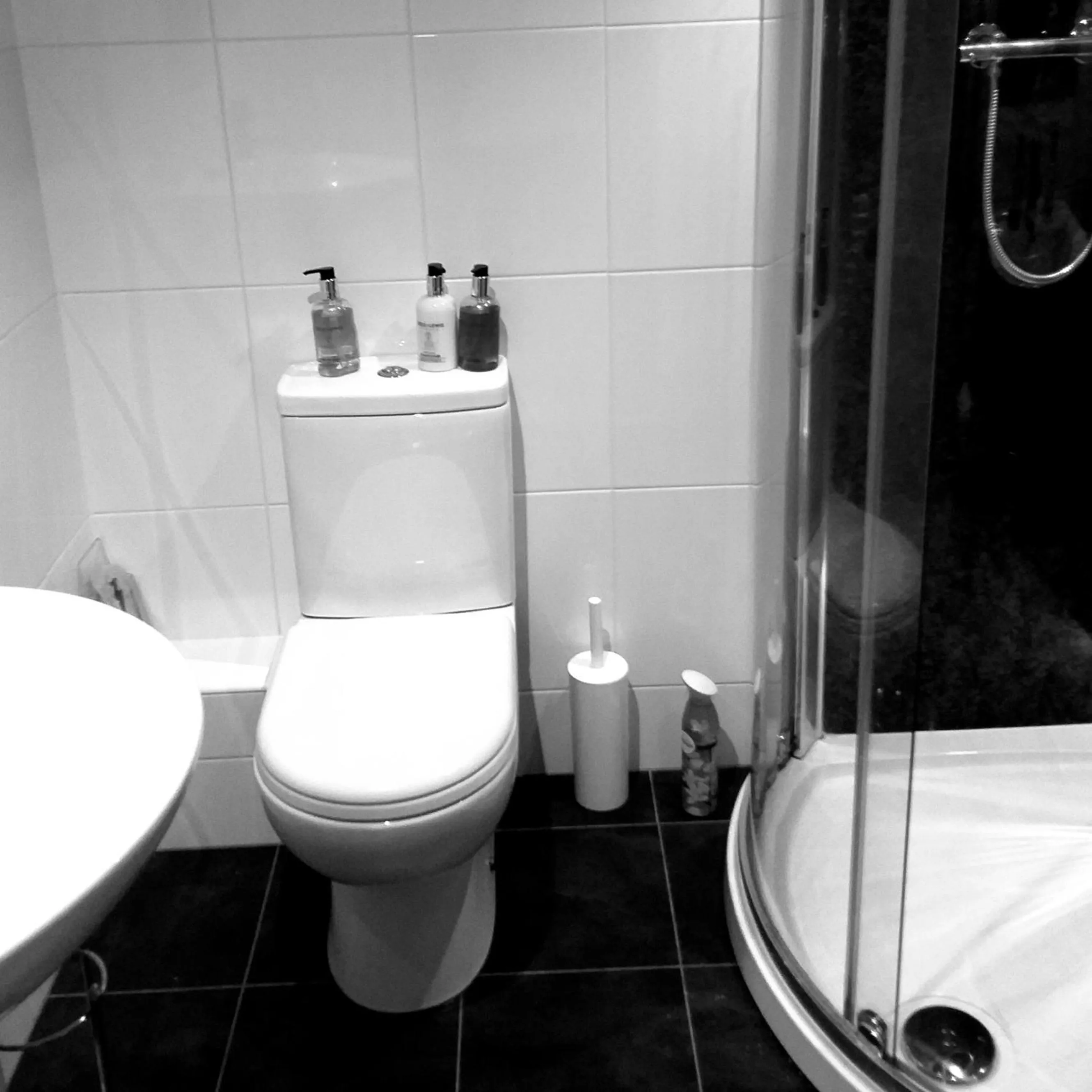 The White House Guest House