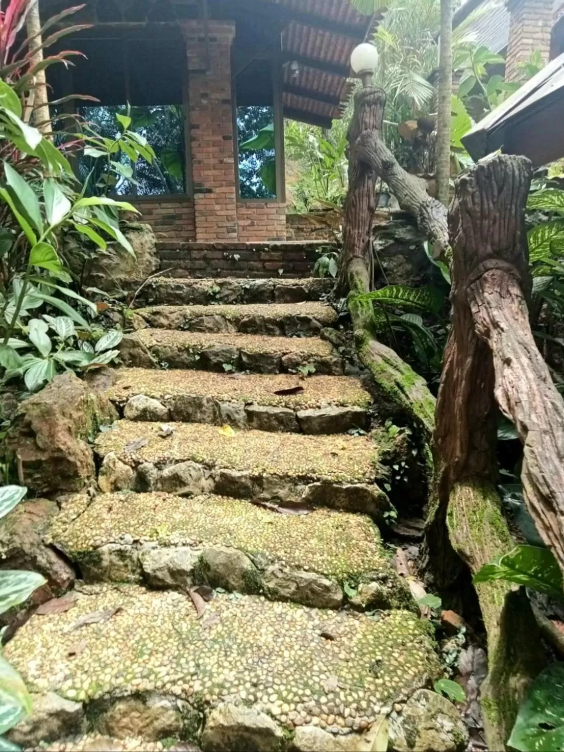 Natural landscape in Khao Sok Las Orquideas Resort