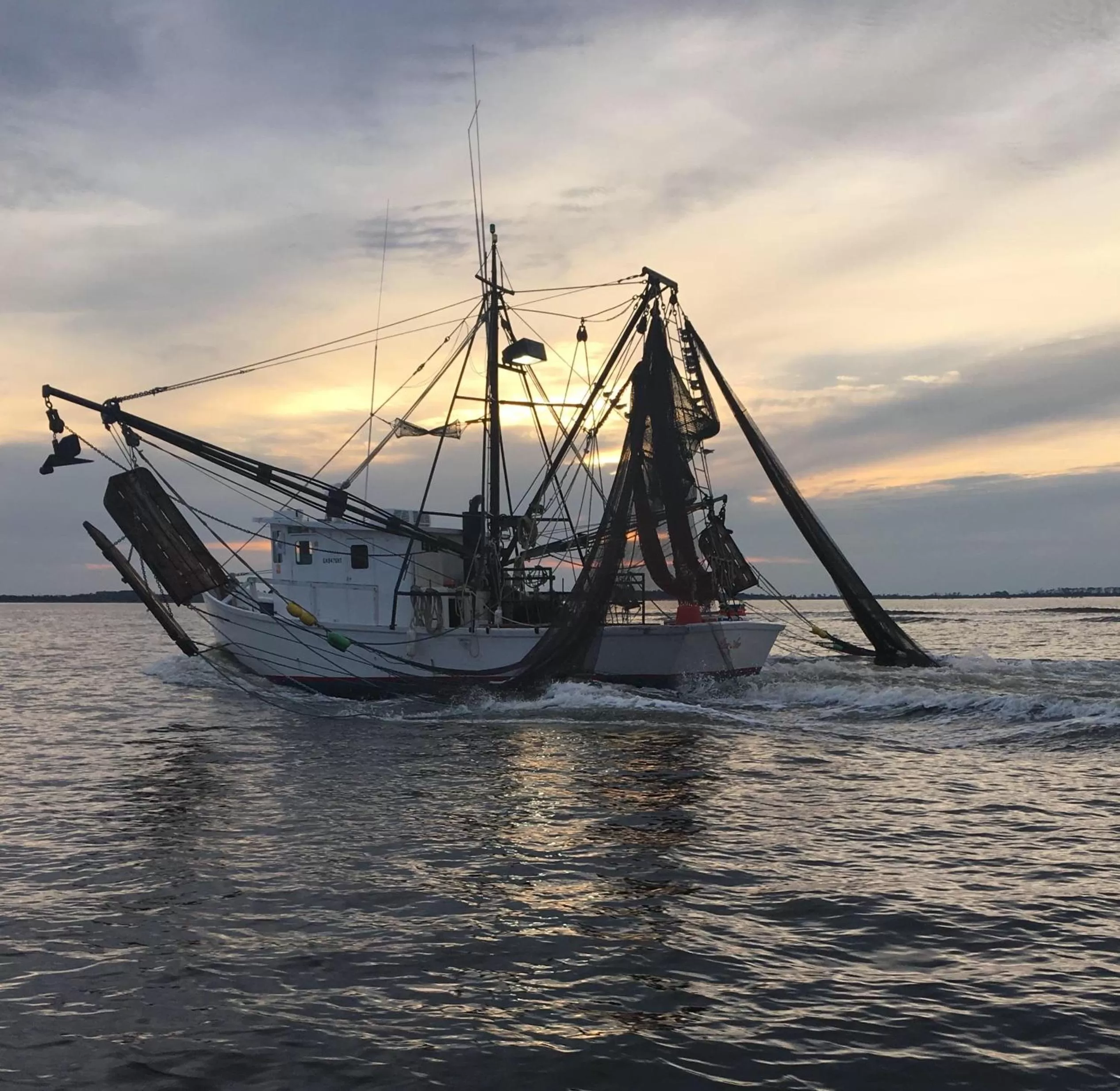 Area and facilities in Hotel Tybee