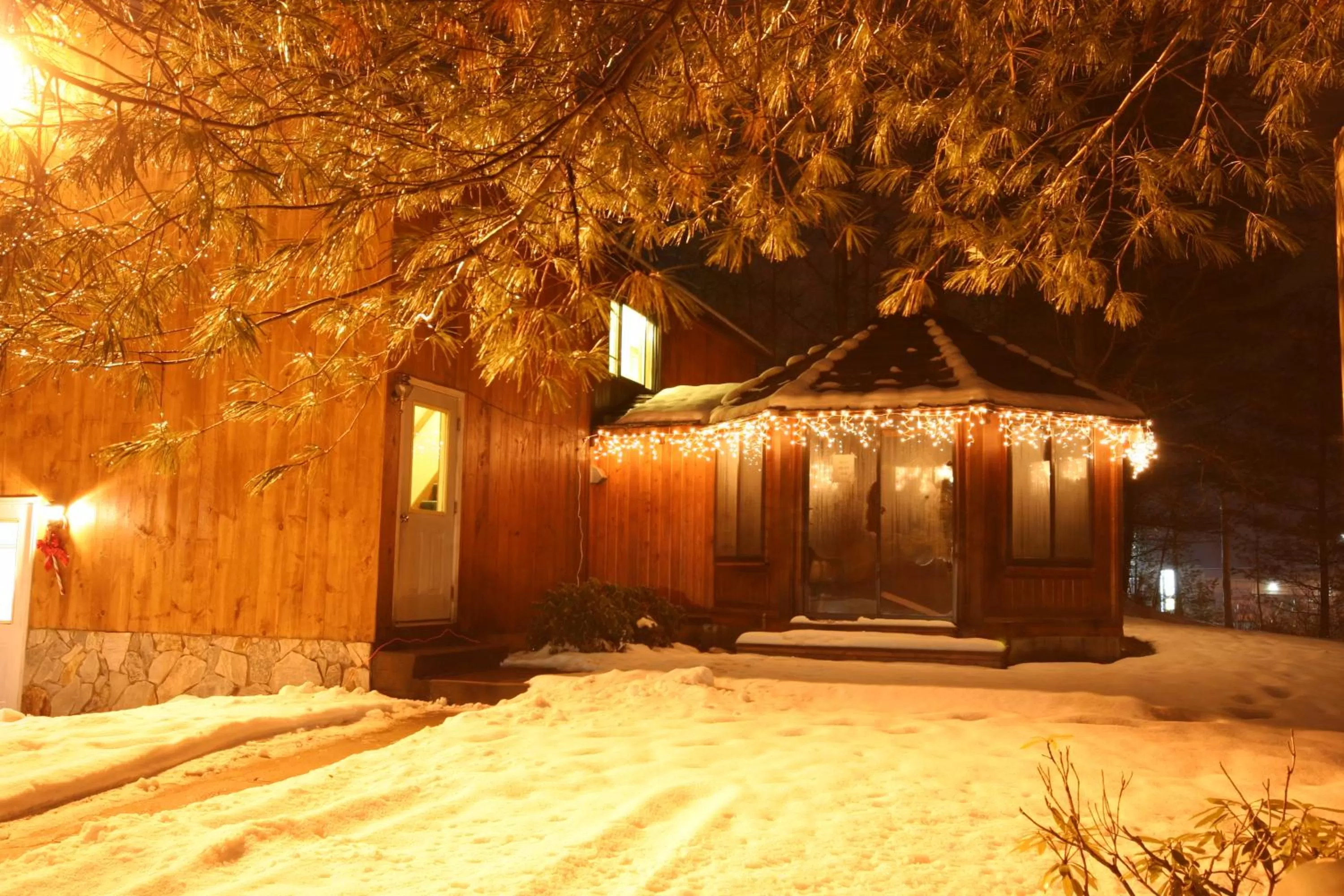 Property building in Nootka Lodge