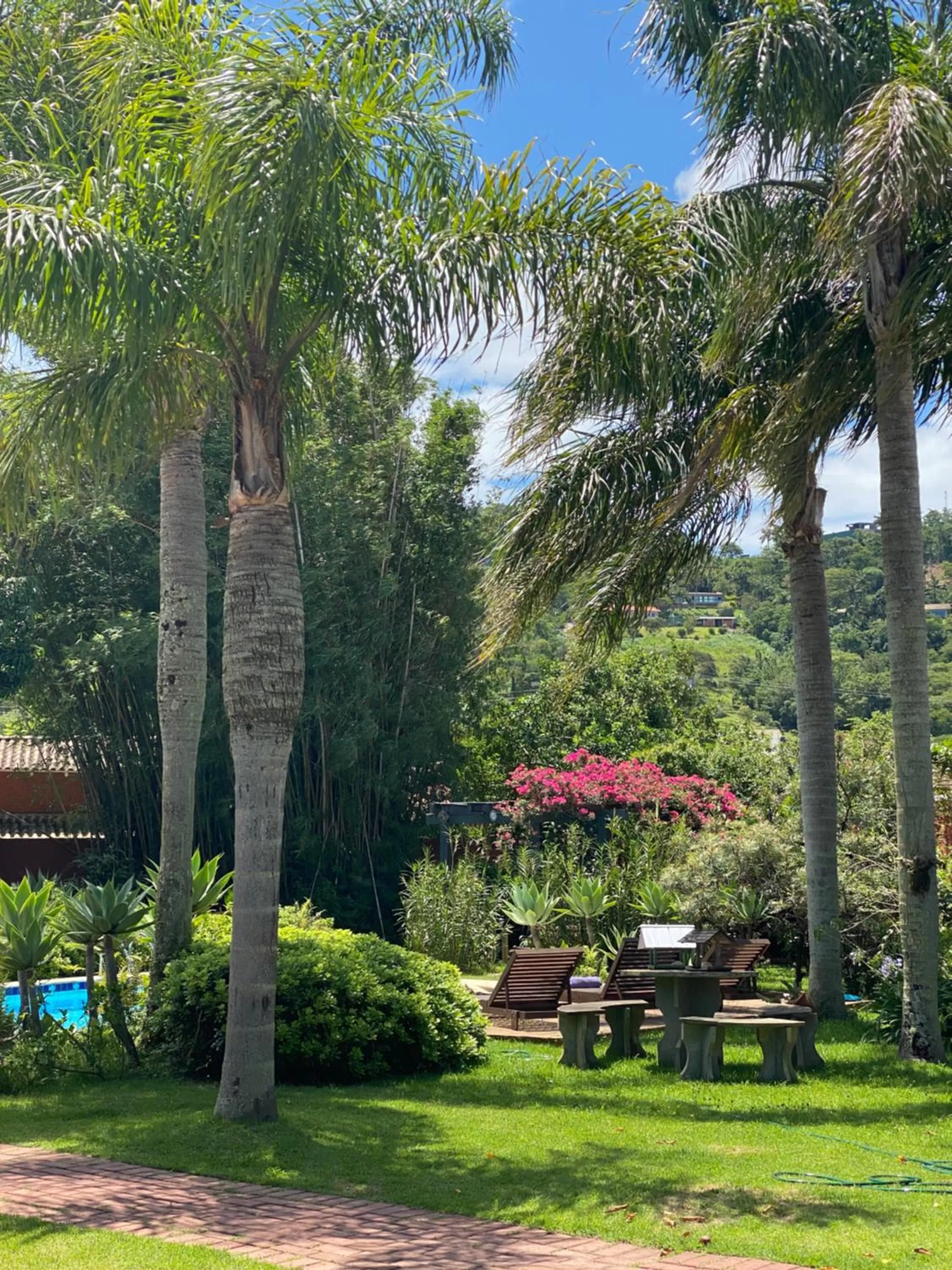 Garden in Janela de Marcia Bed and Breakfast