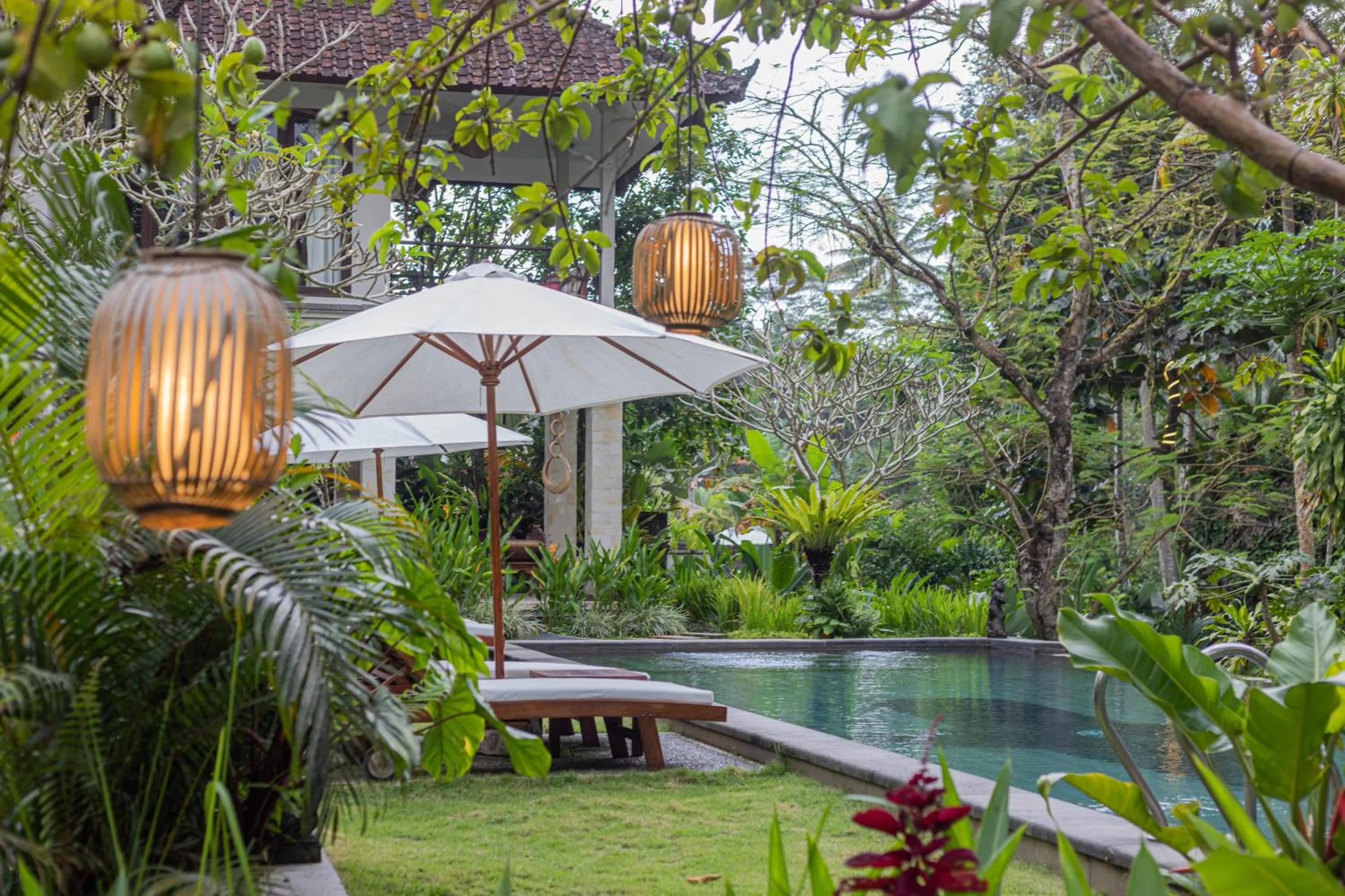 Natural landscape in Suara Air Luxury Villa Ubud