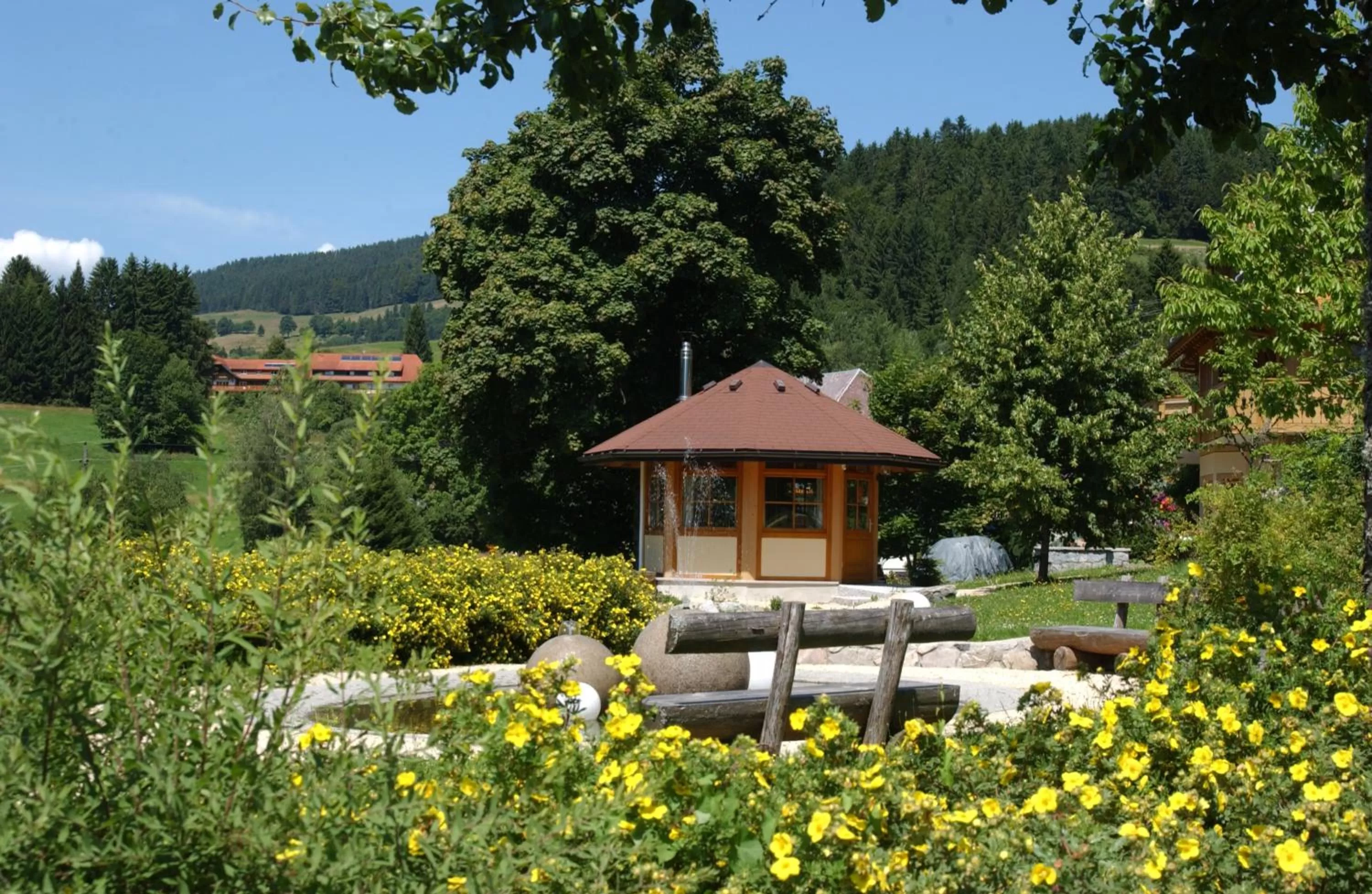 Spring in Hotel Schwarzwald-Resort Rößle