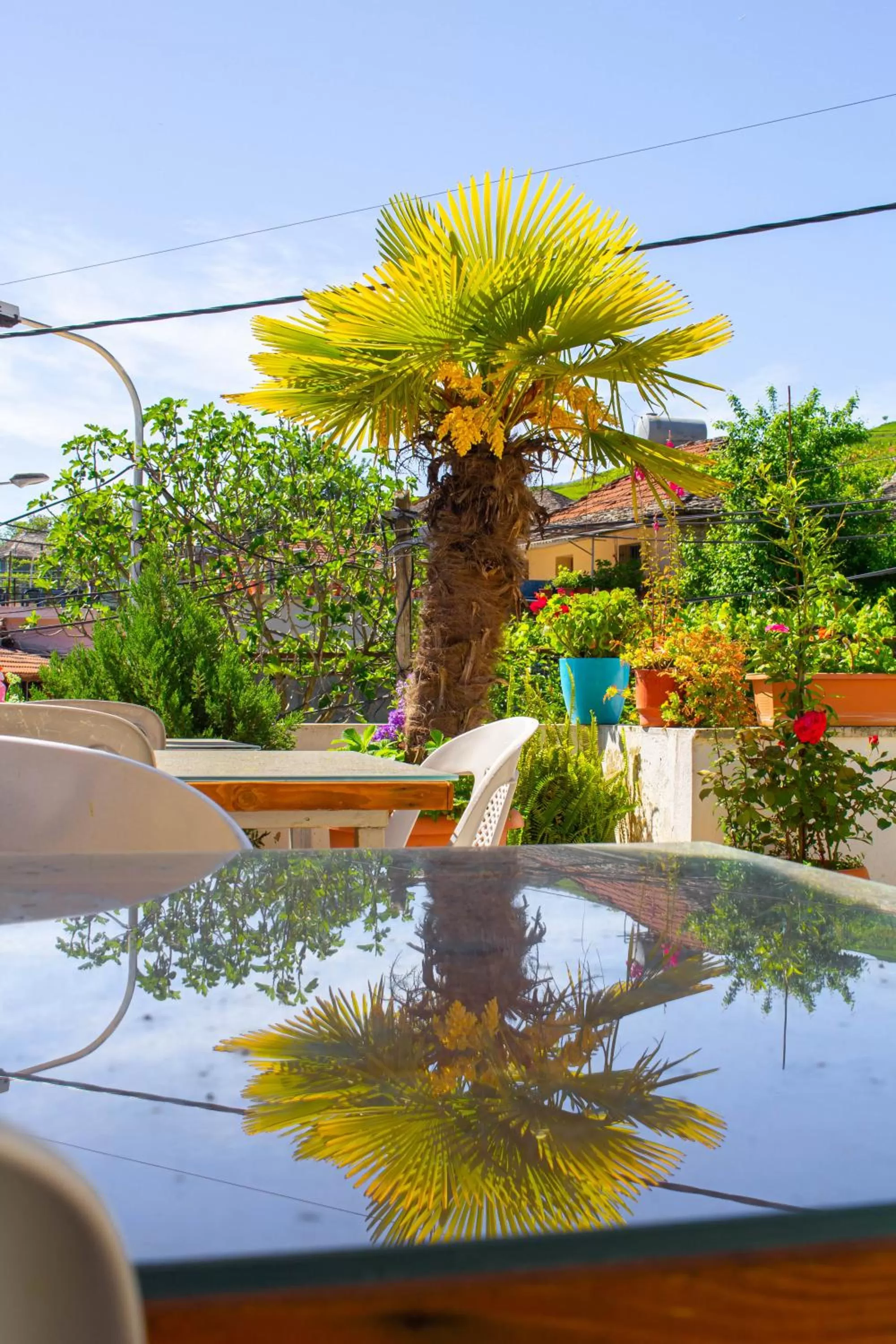 Hotel Bebej Tradicional