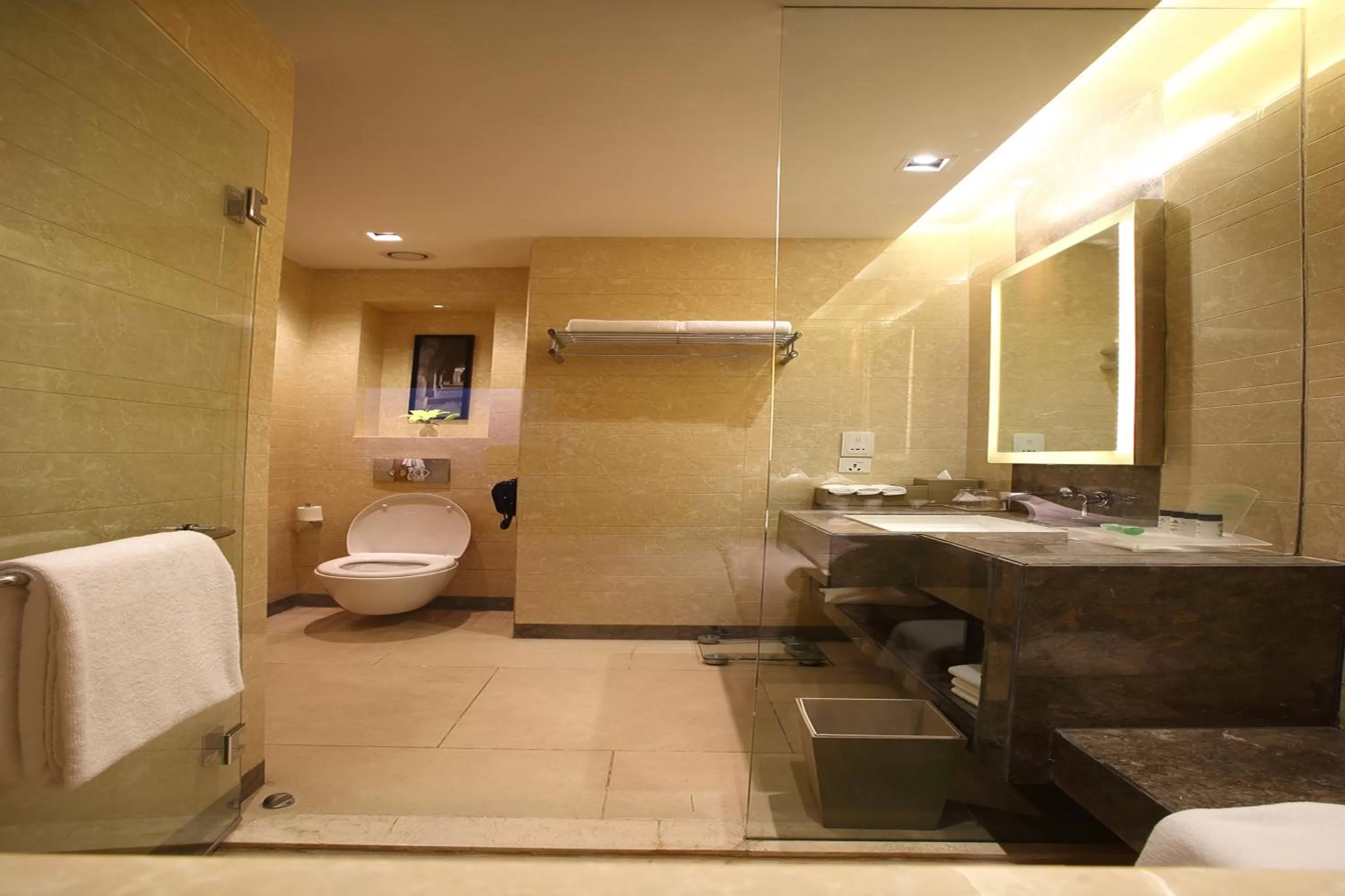 Bathroom in Holiday Inn New Delhi Mayur Vihar Noida by IHG