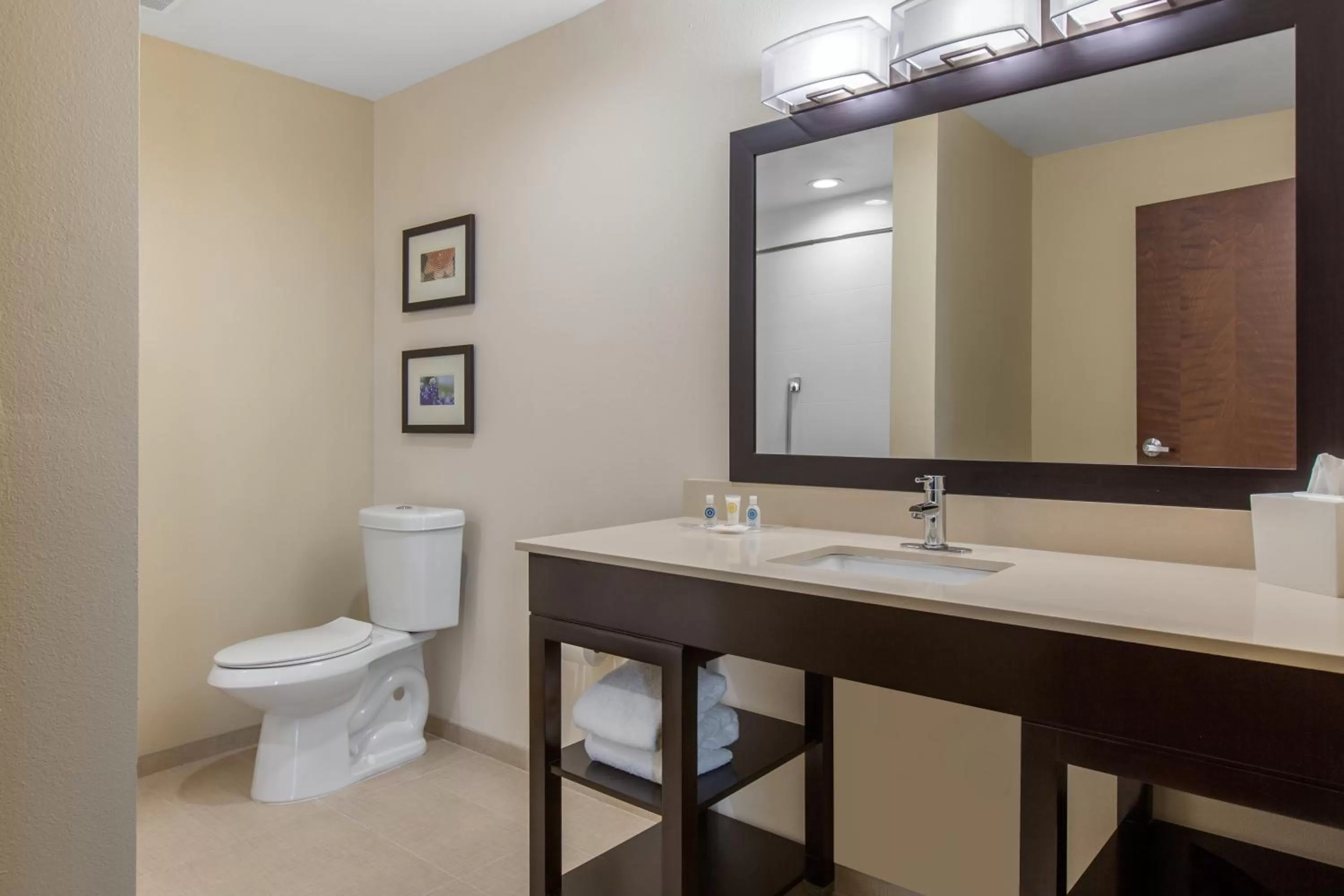 Bathroom in Comfort Suites - South Austin