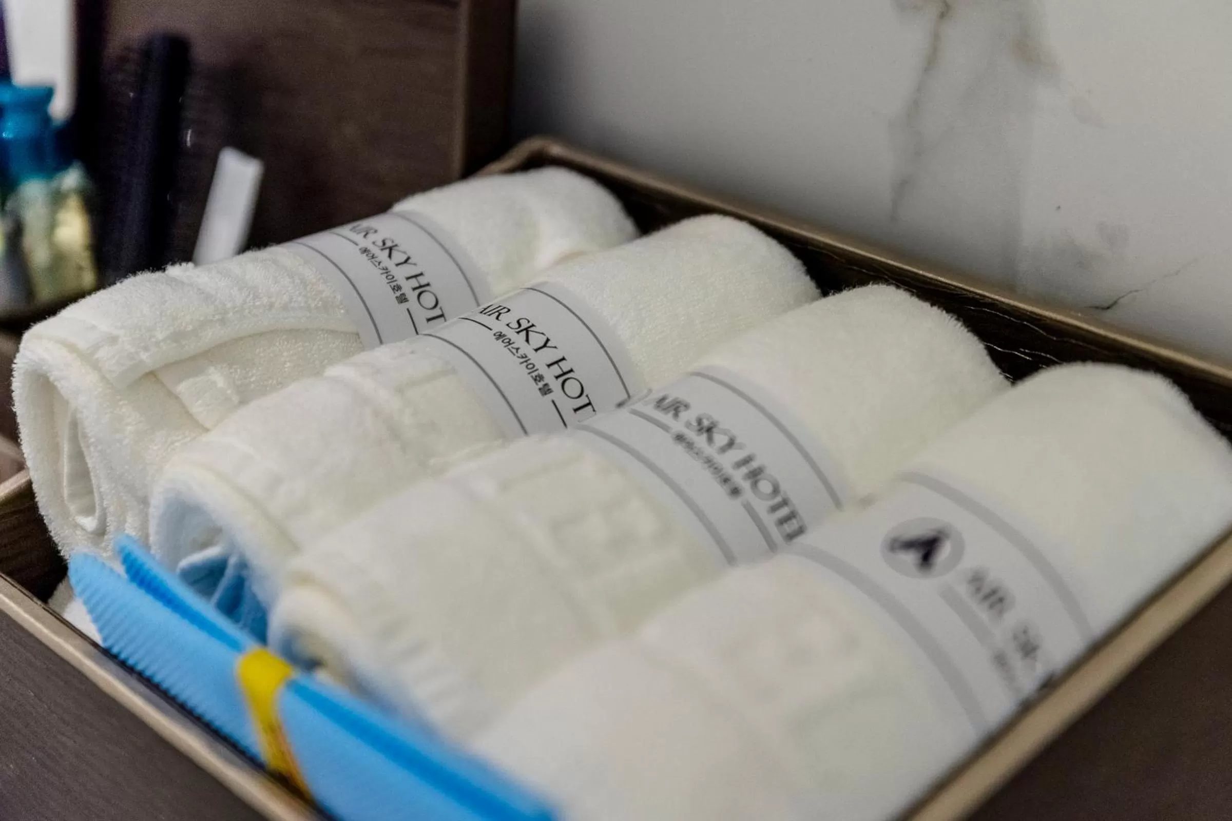 Decorative detail in Air Sky Hotel