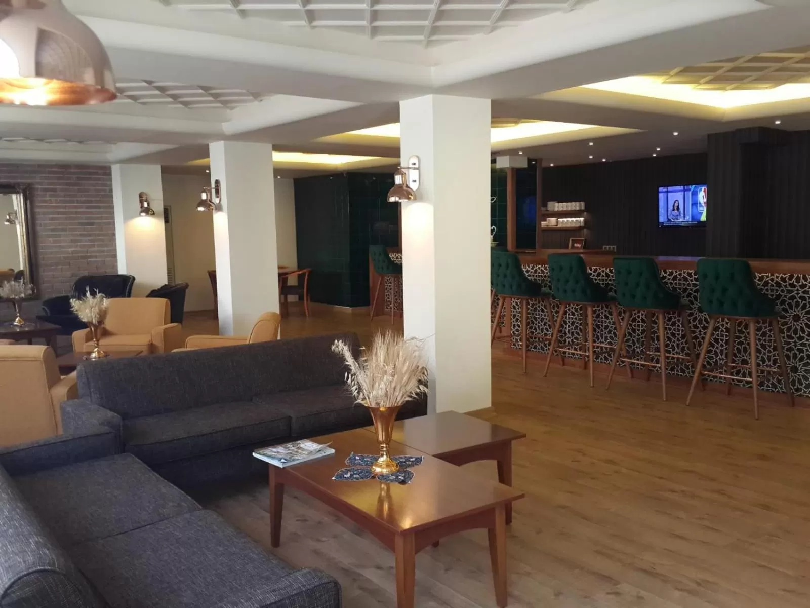 Communal lounge/ TV room in Boyuguzel Termal Hotel