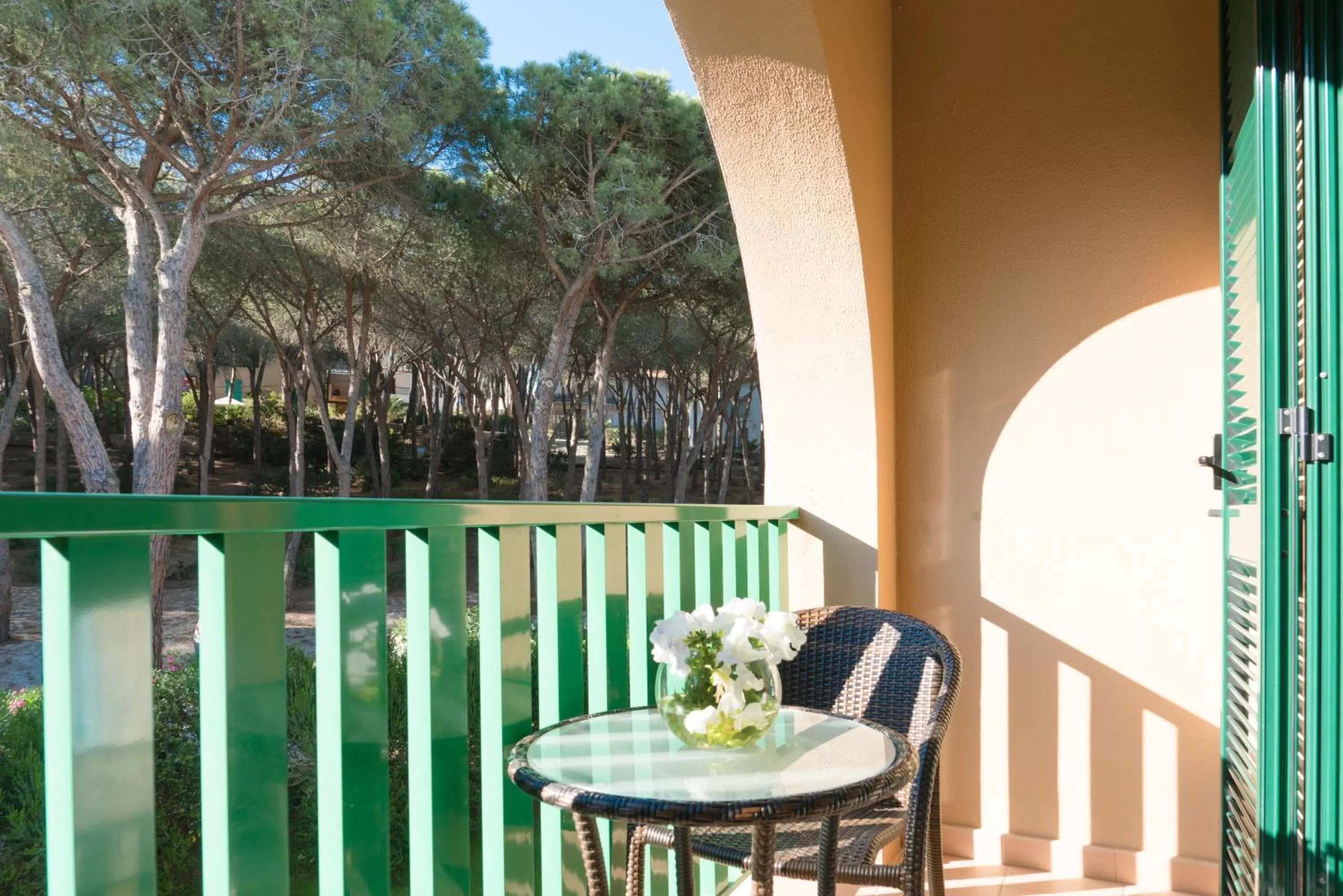 Balcony/Terrace in Hotel Dei Pini
