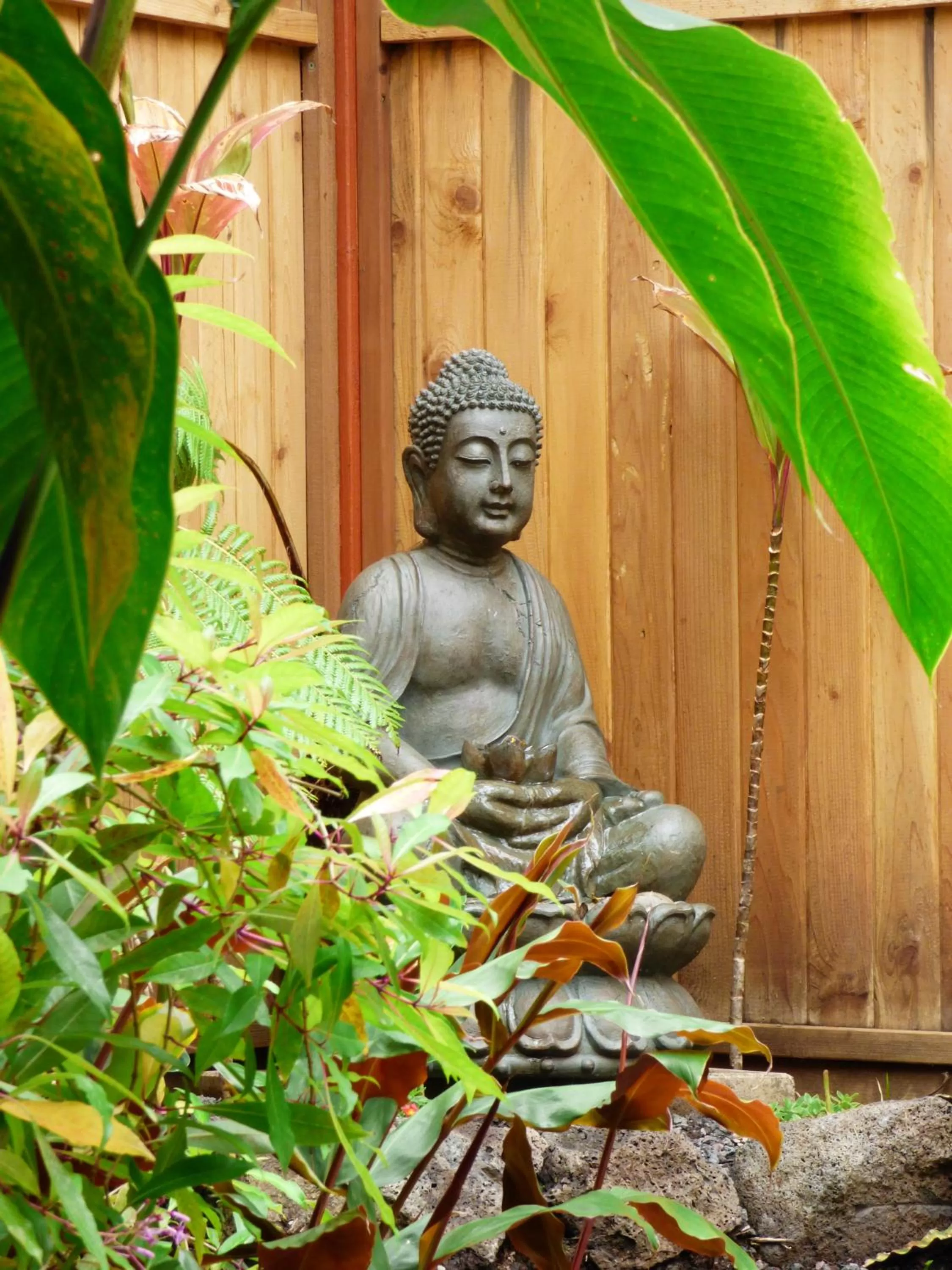 Balcony/Terrace in Lotus Garden Cottages