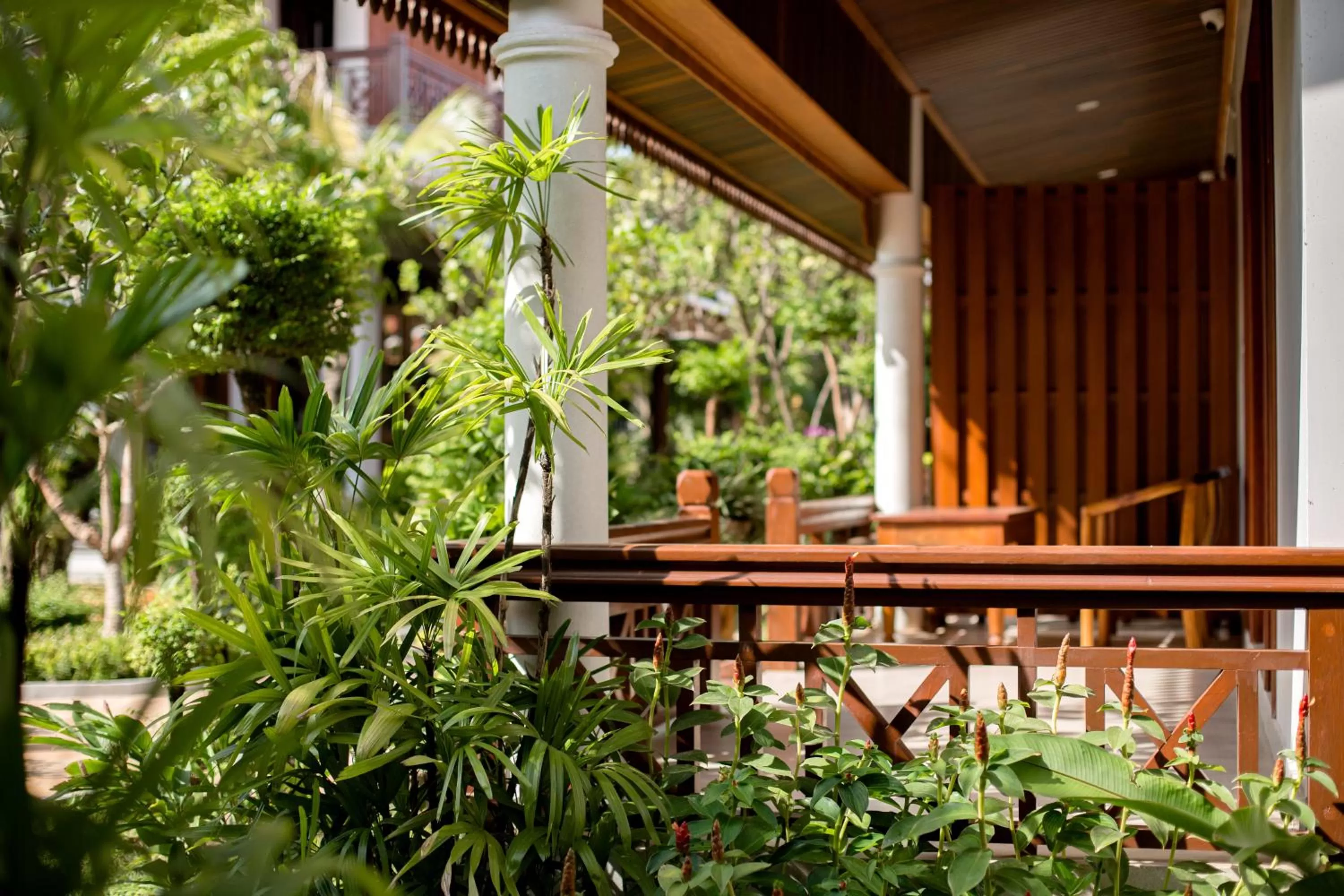 Garden view in Angkor Privilege Resort & Spa