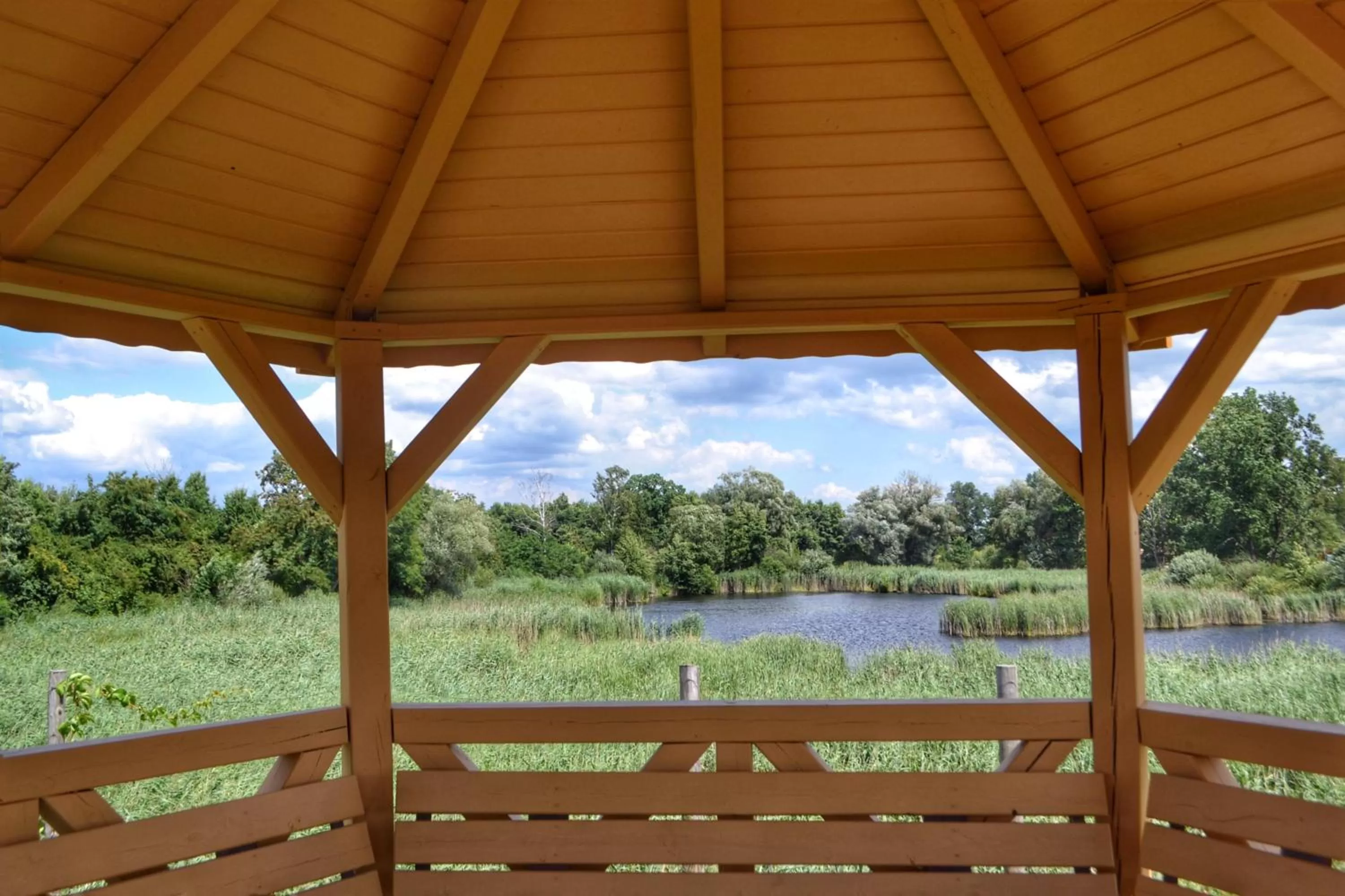 Garden view in Hotel & Browar Słociak