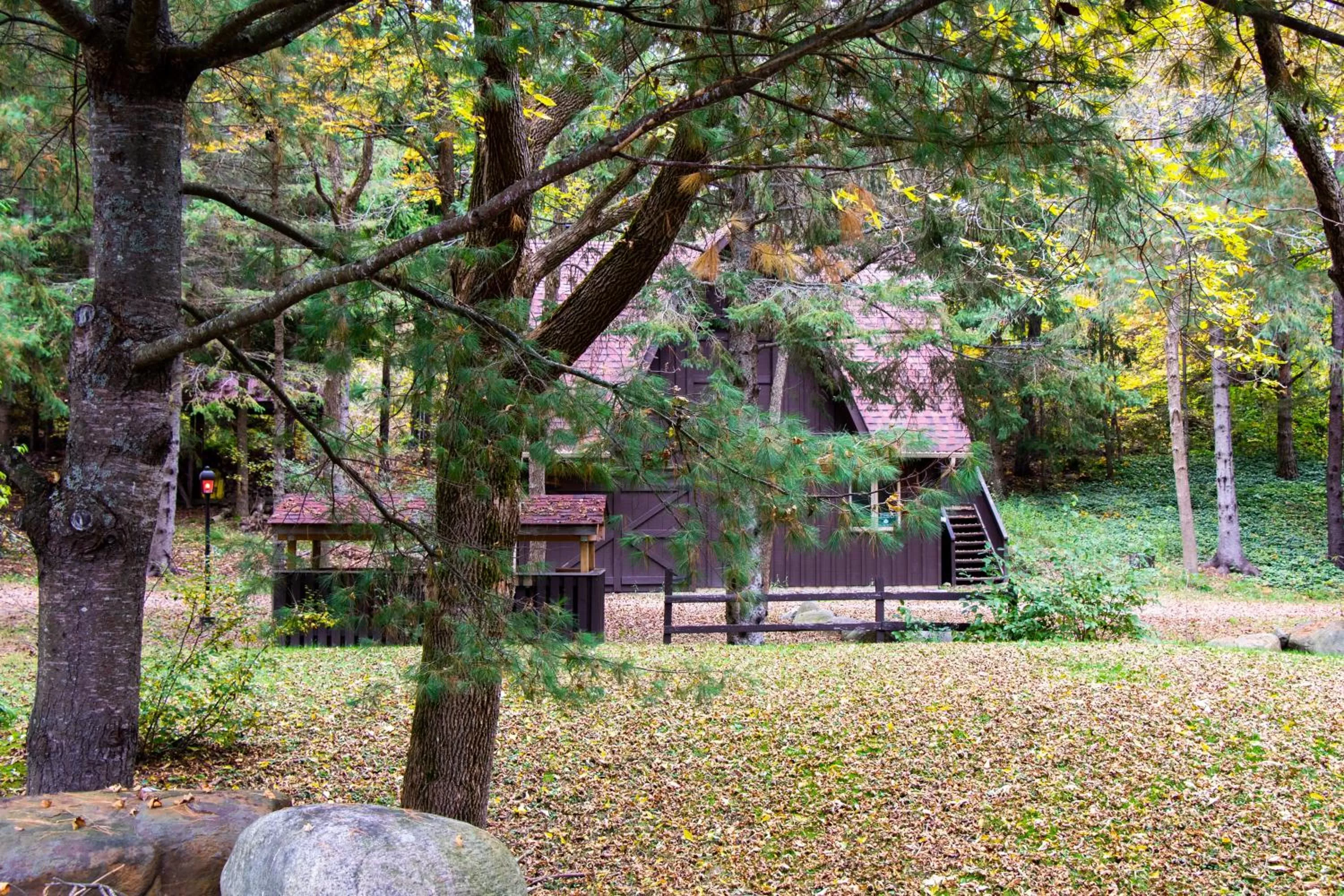 Garden view in Fairy Bay Lakehouse