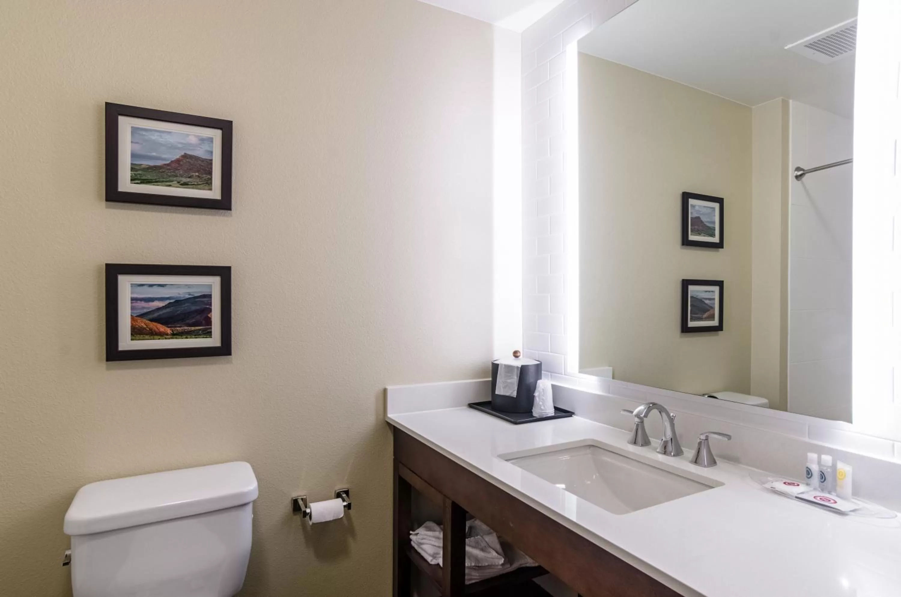 Bathroom in Comfort Suites Loveland