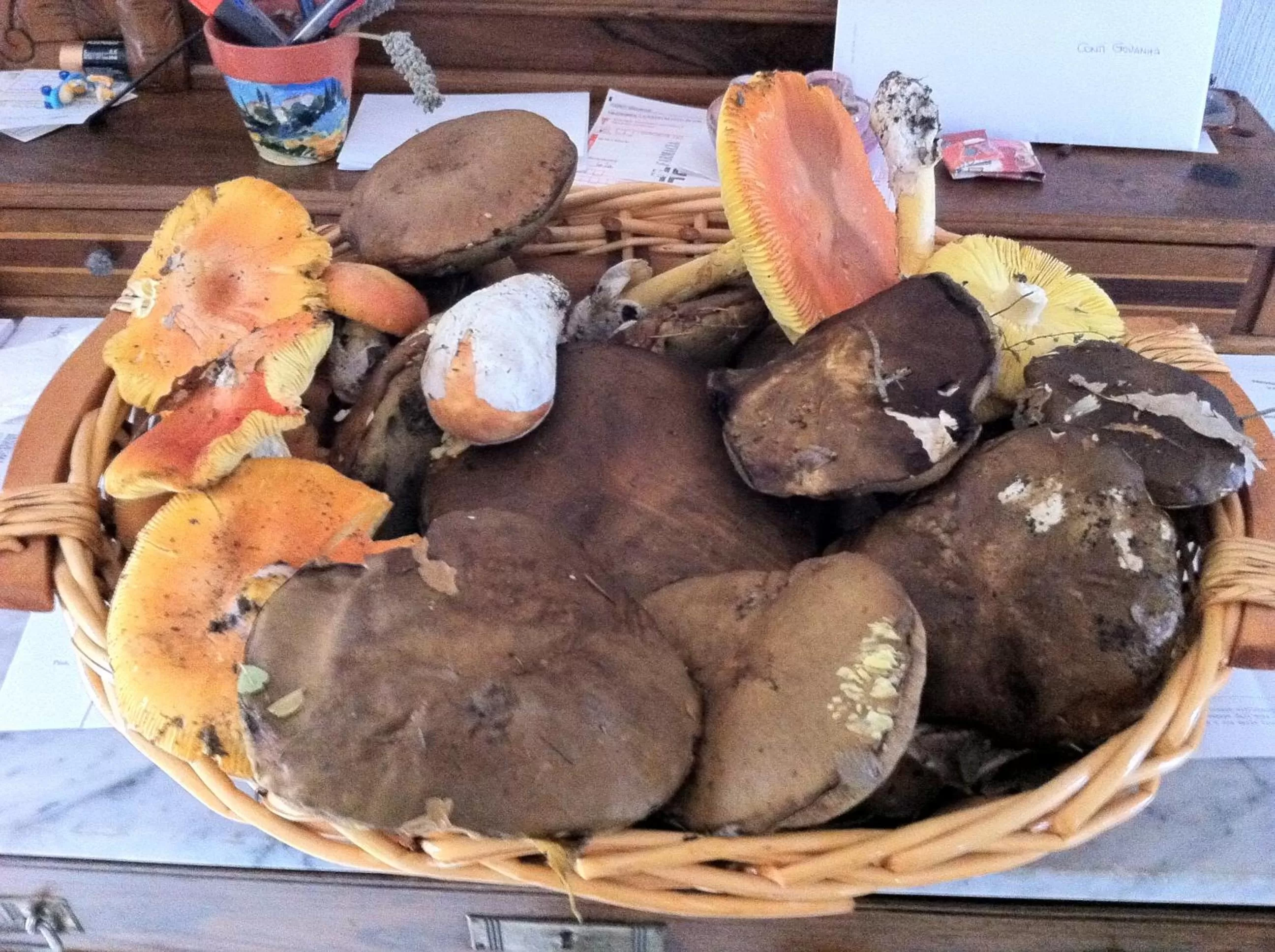 Activities in Hotel Dei Conti