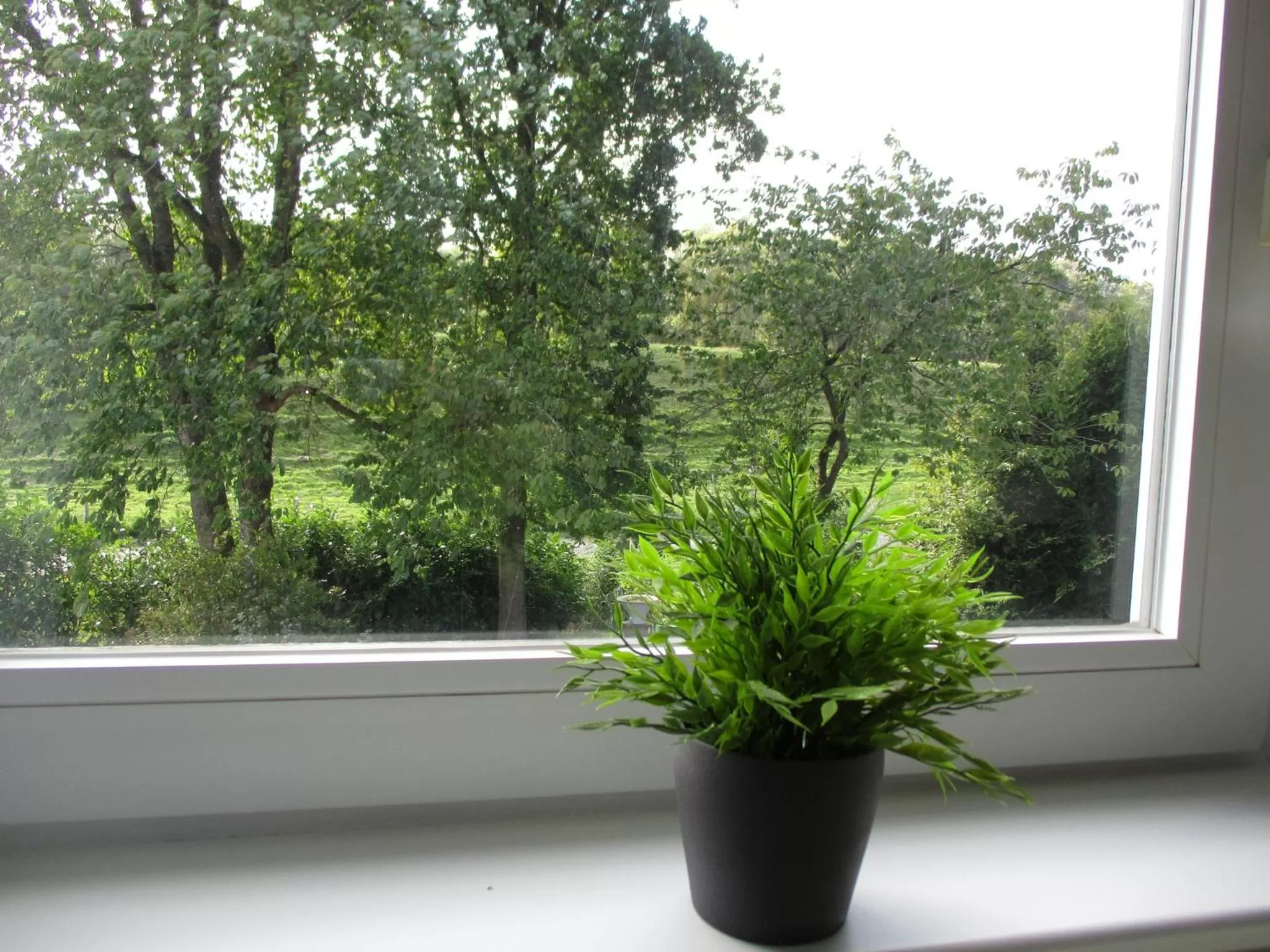 Garden view in Best Pension