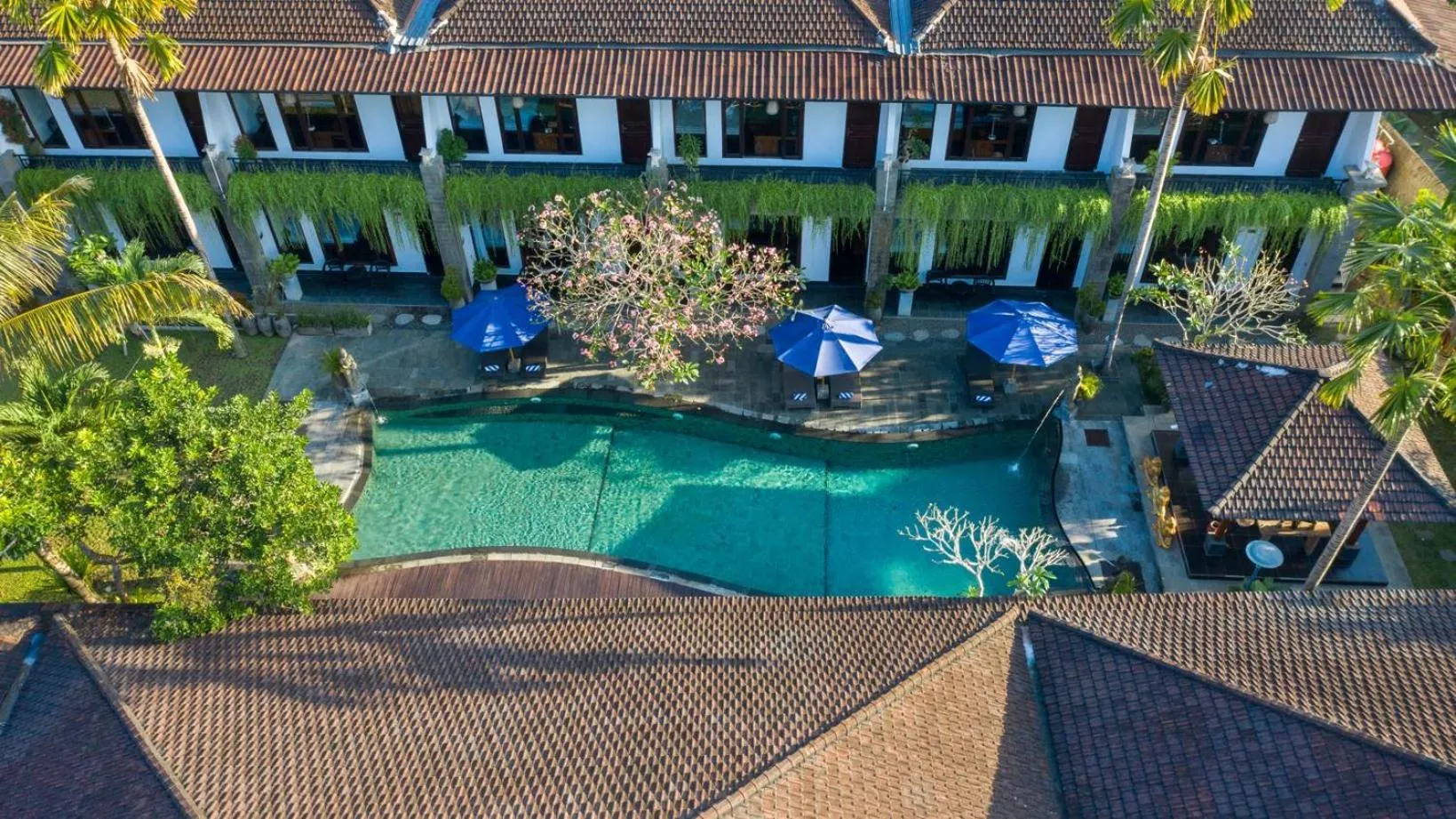 Swimming pool in Ubud Raya Boutique Hotel