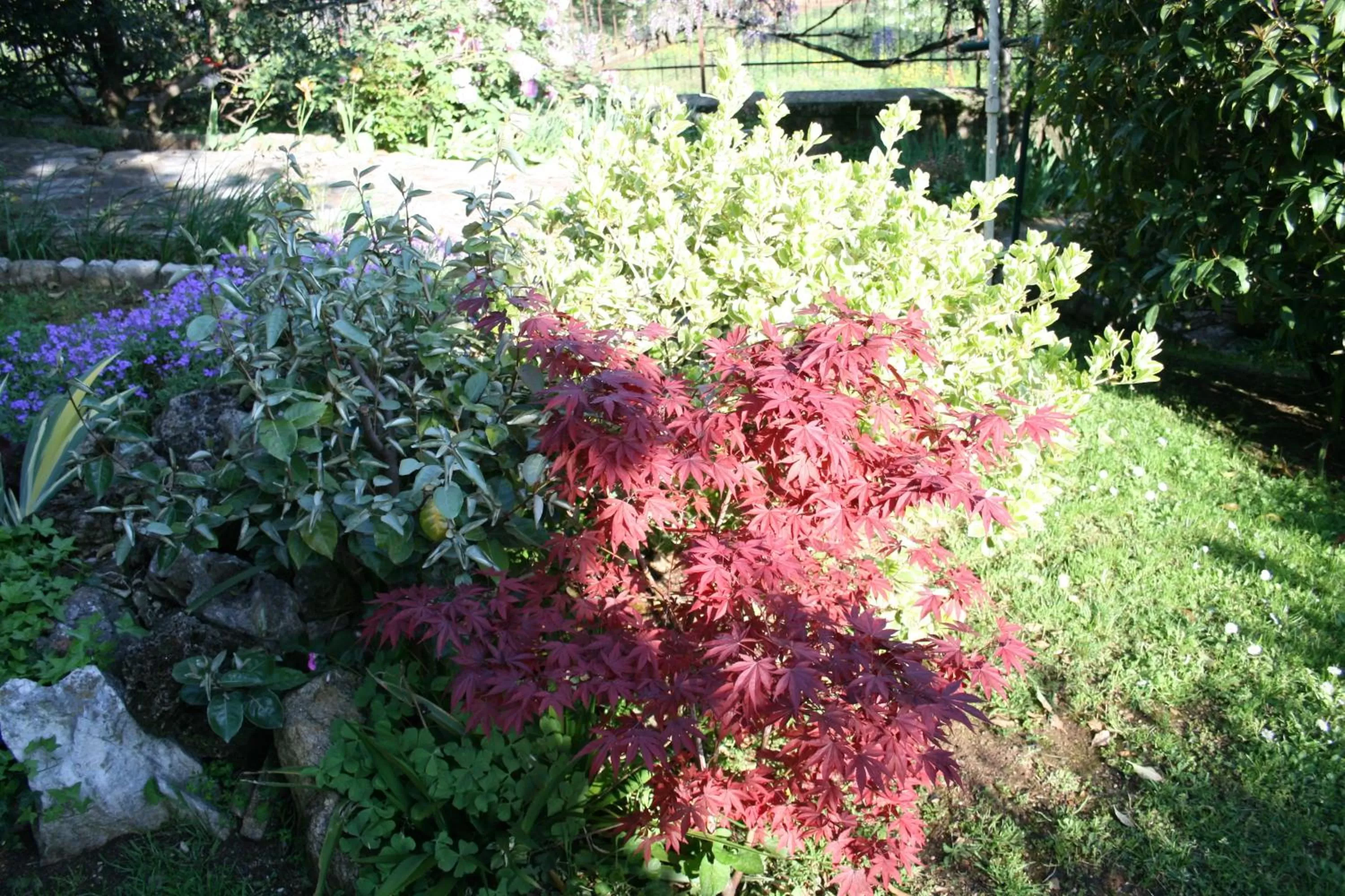 Garden in B&B Il Glicine