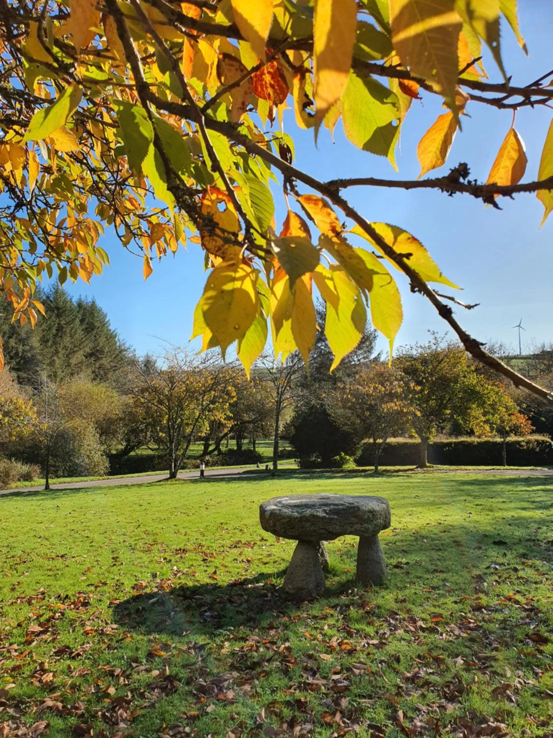 Spring, Garden in Hustyns Resort Cornwall