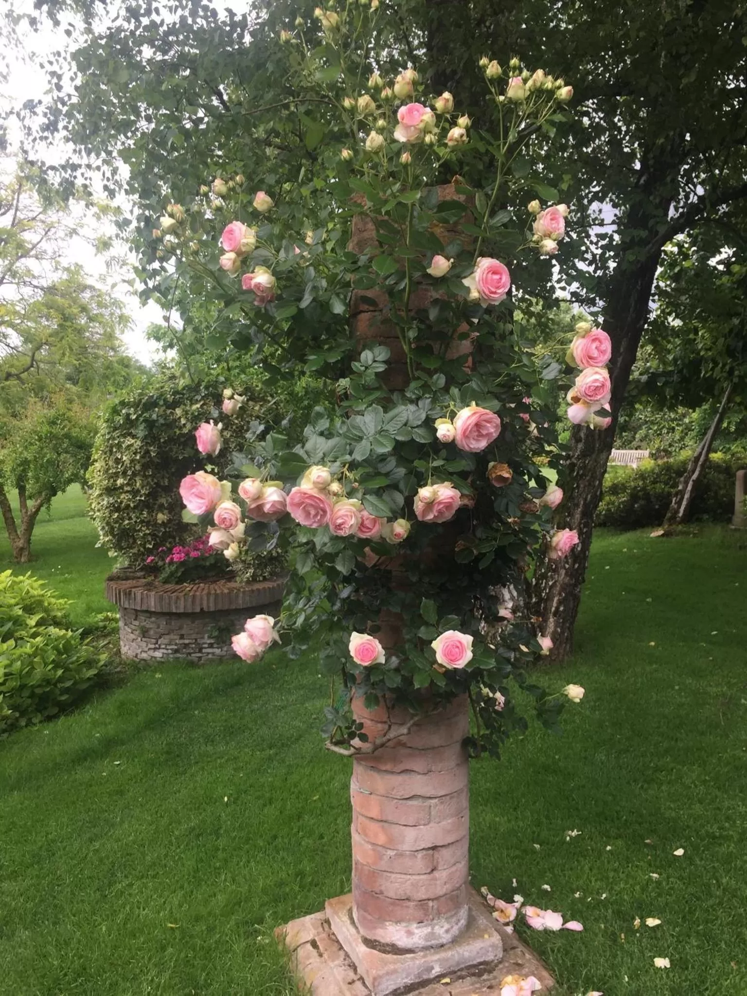Garden in La Pergola B&B