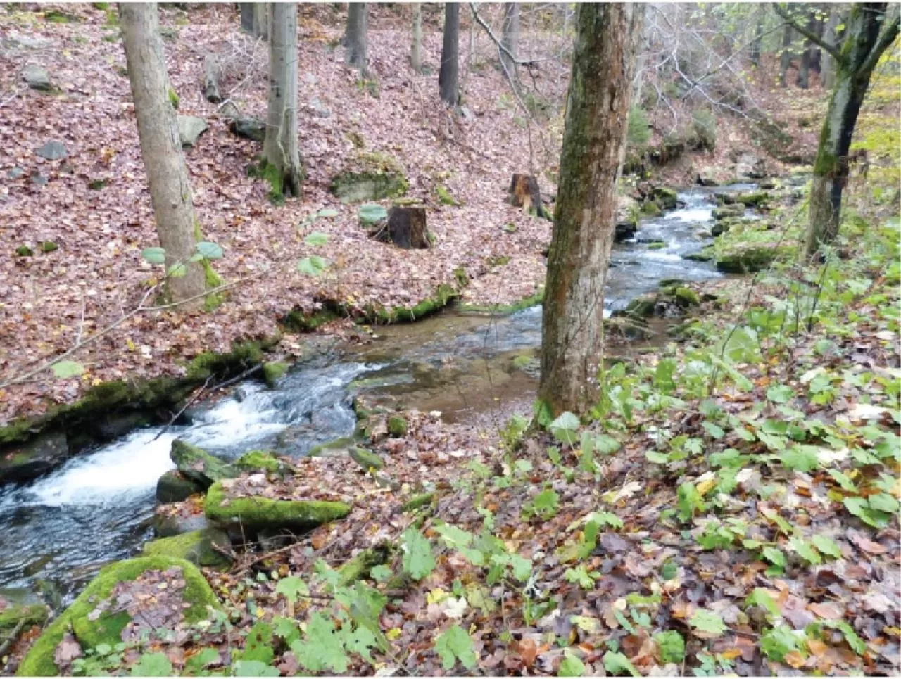 Nearby landmark in X-Park Františkov