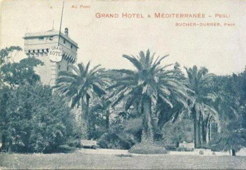 Area and facilities in Hotel Mediterranee