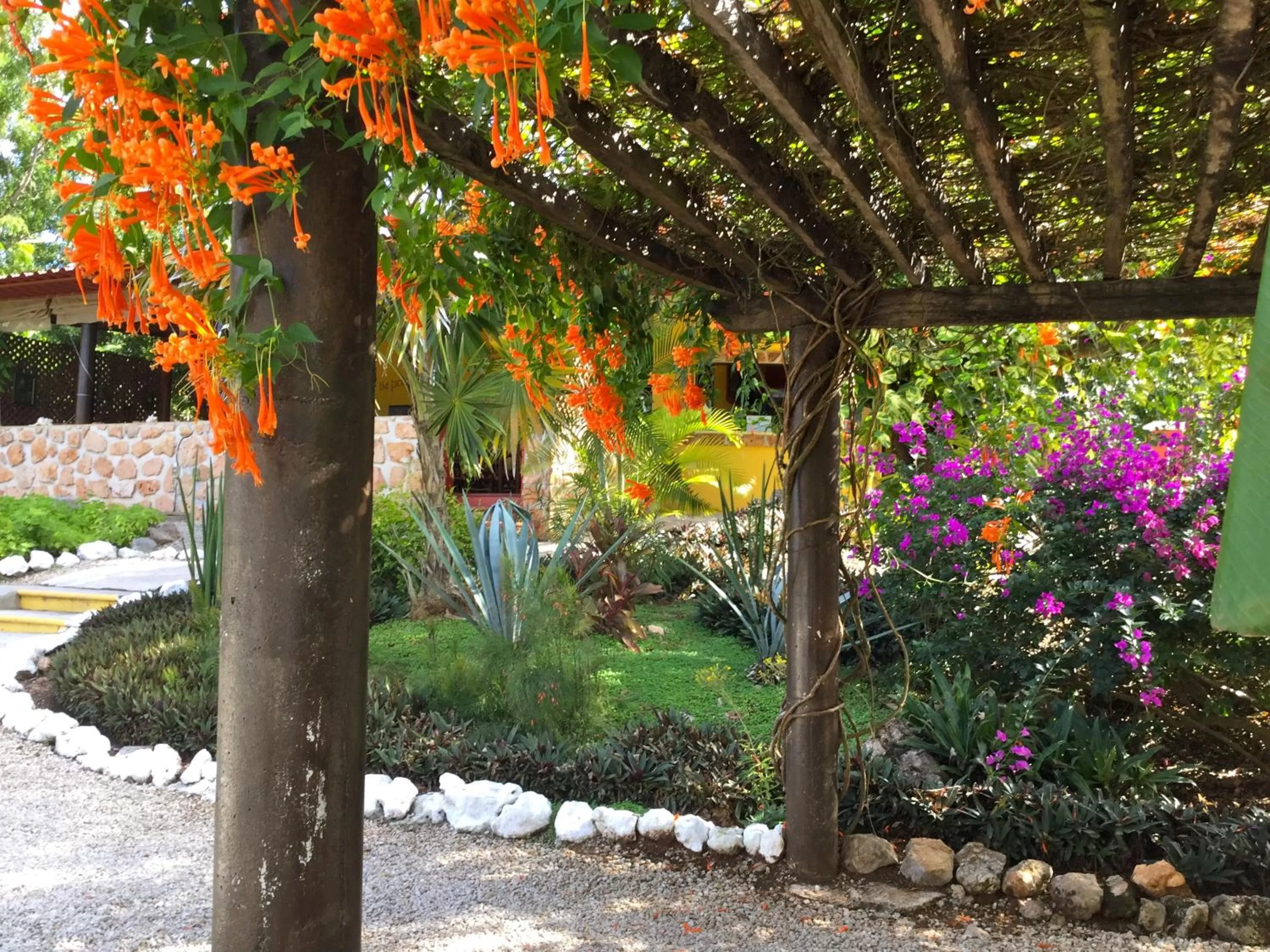 Facade/entrance, Garden in The Pickled Onion Eco-Boutique B&B