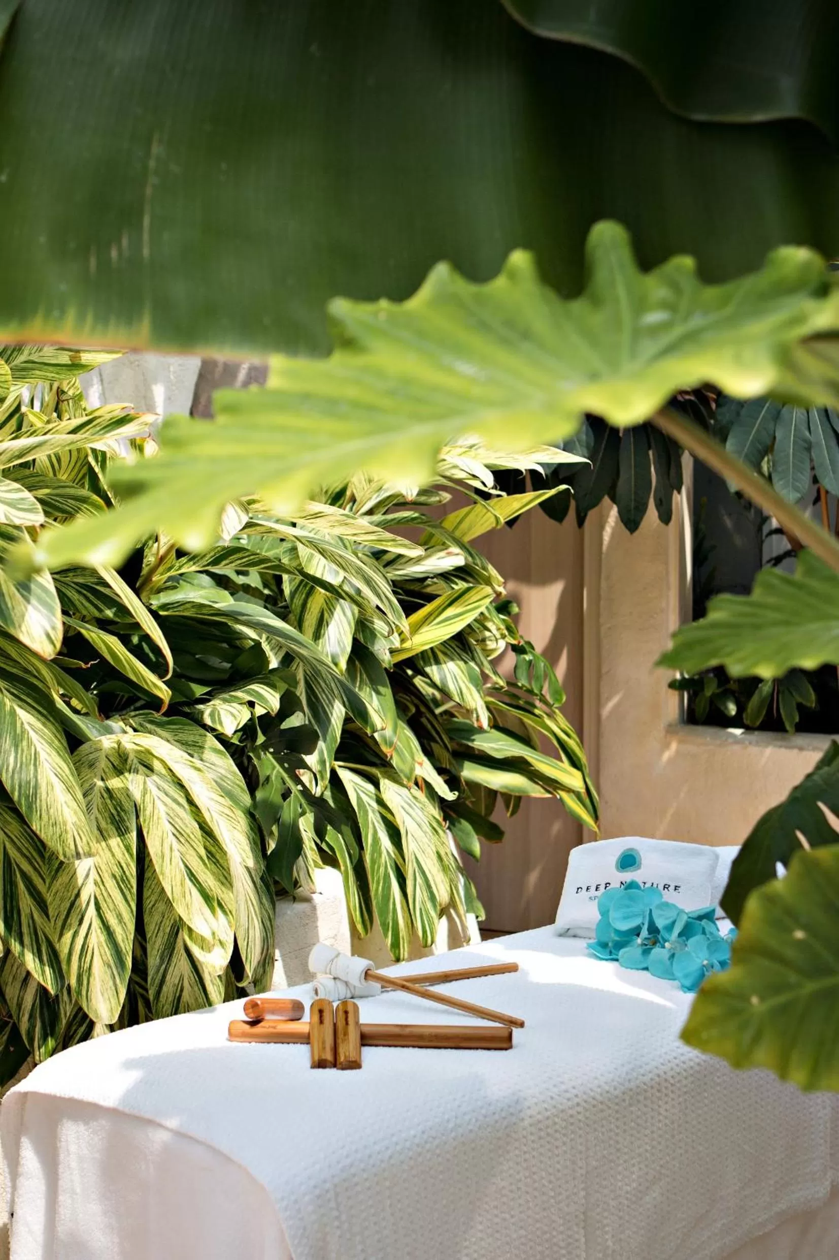 Spa and wellness centre/facilities in Hotel Bispinger Heide by Center Parcs