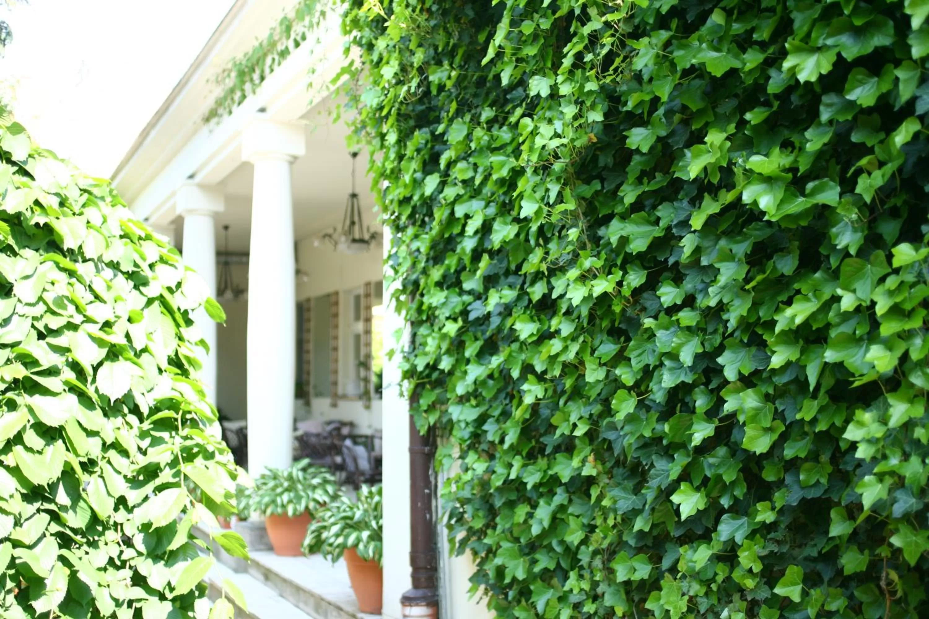 Property Building in Miodosytnia Aparthotel