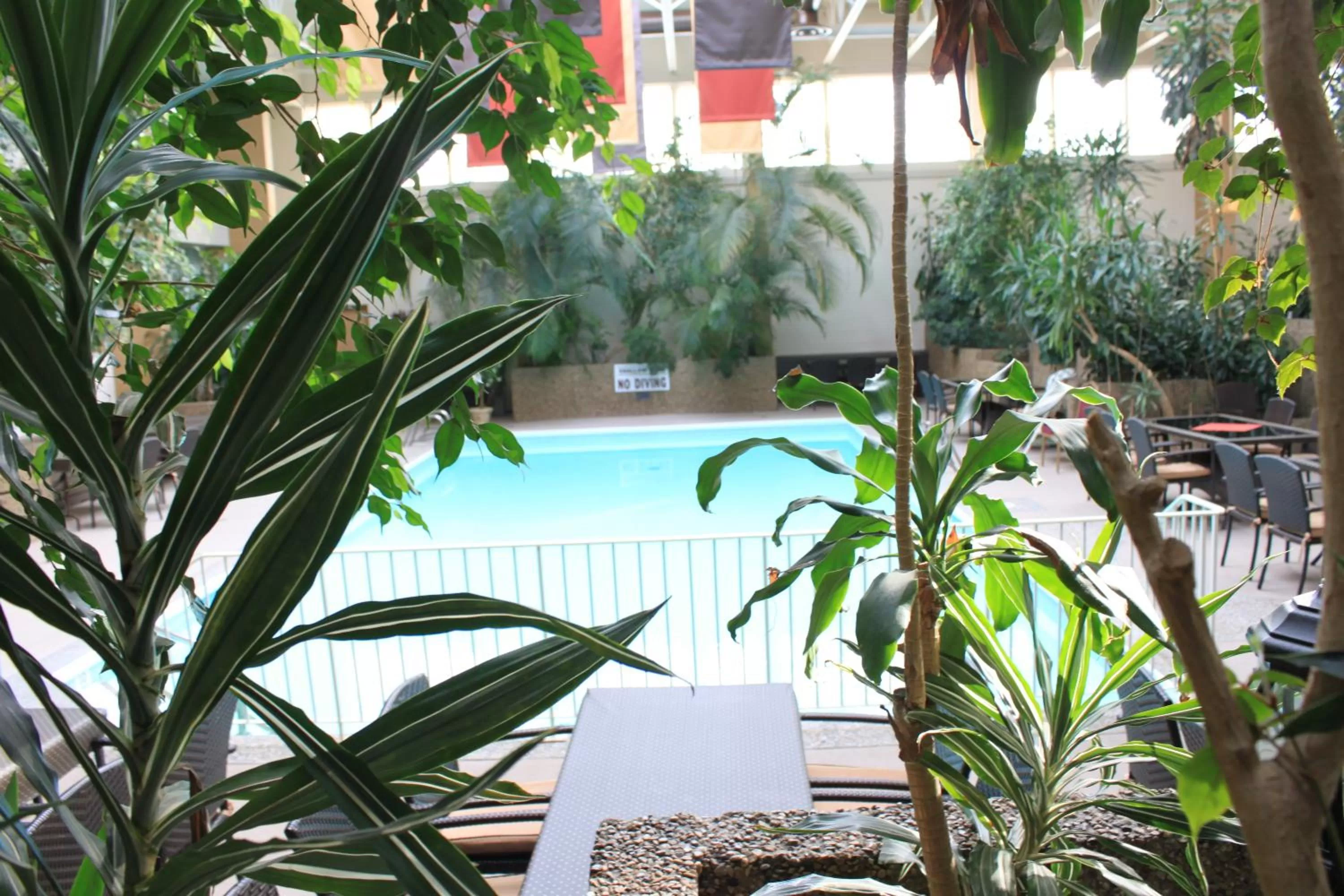 Pool view in Westlock Inn & Conference Centre