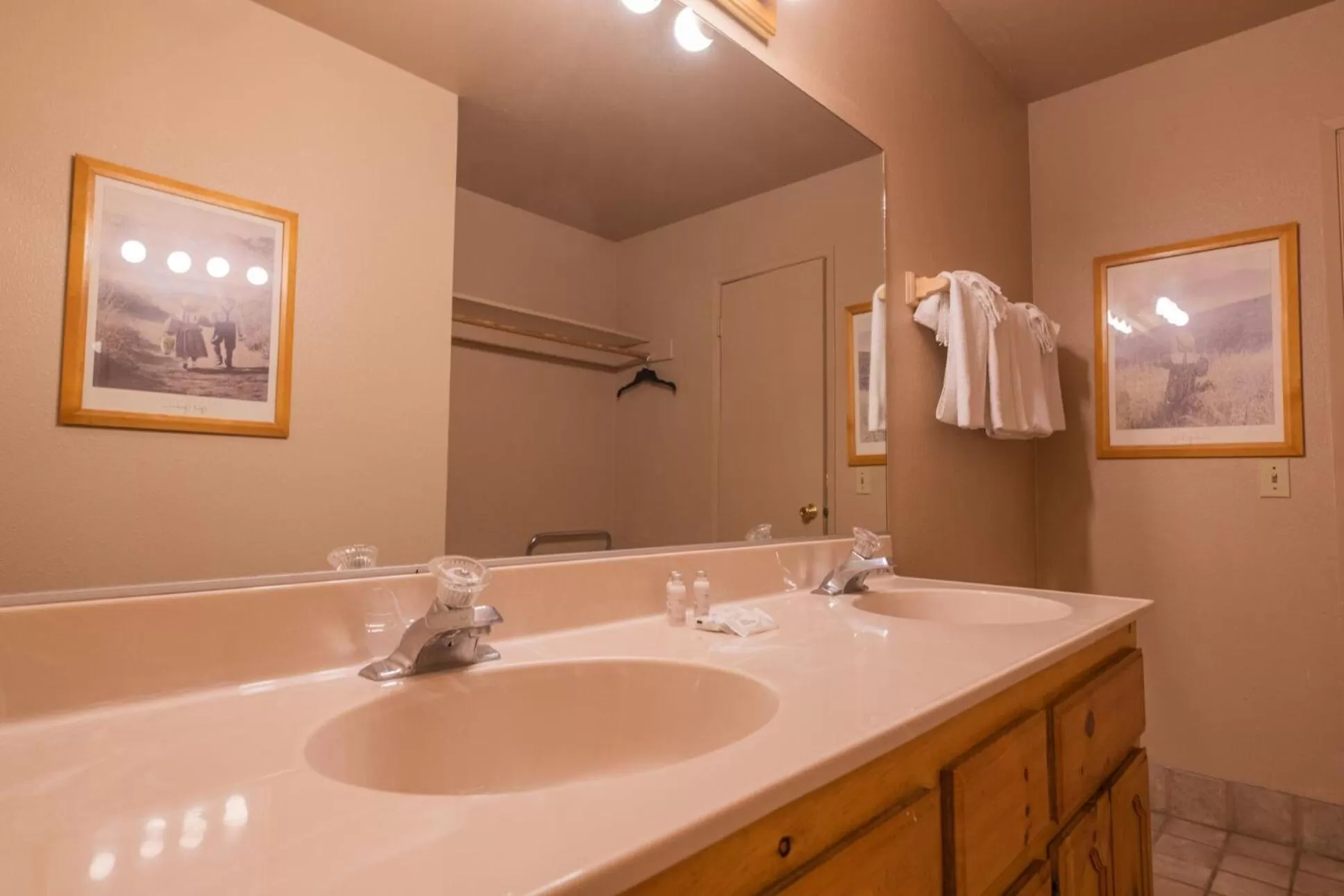 Bathroom in Black Forest Lodge