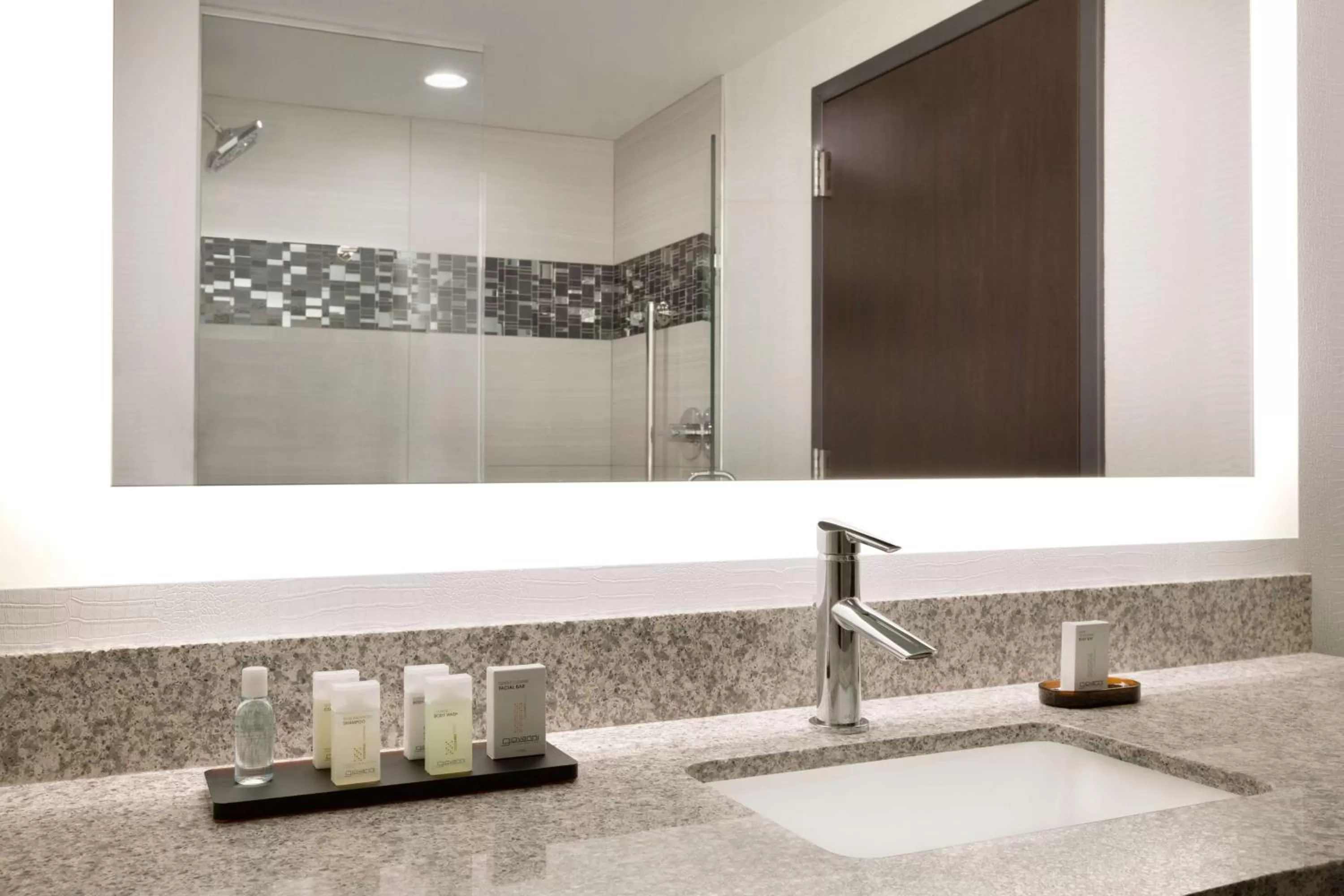 Bathroom in Embassy Suites by Hilton Atlanta NE Gwinnett Sugarloaf