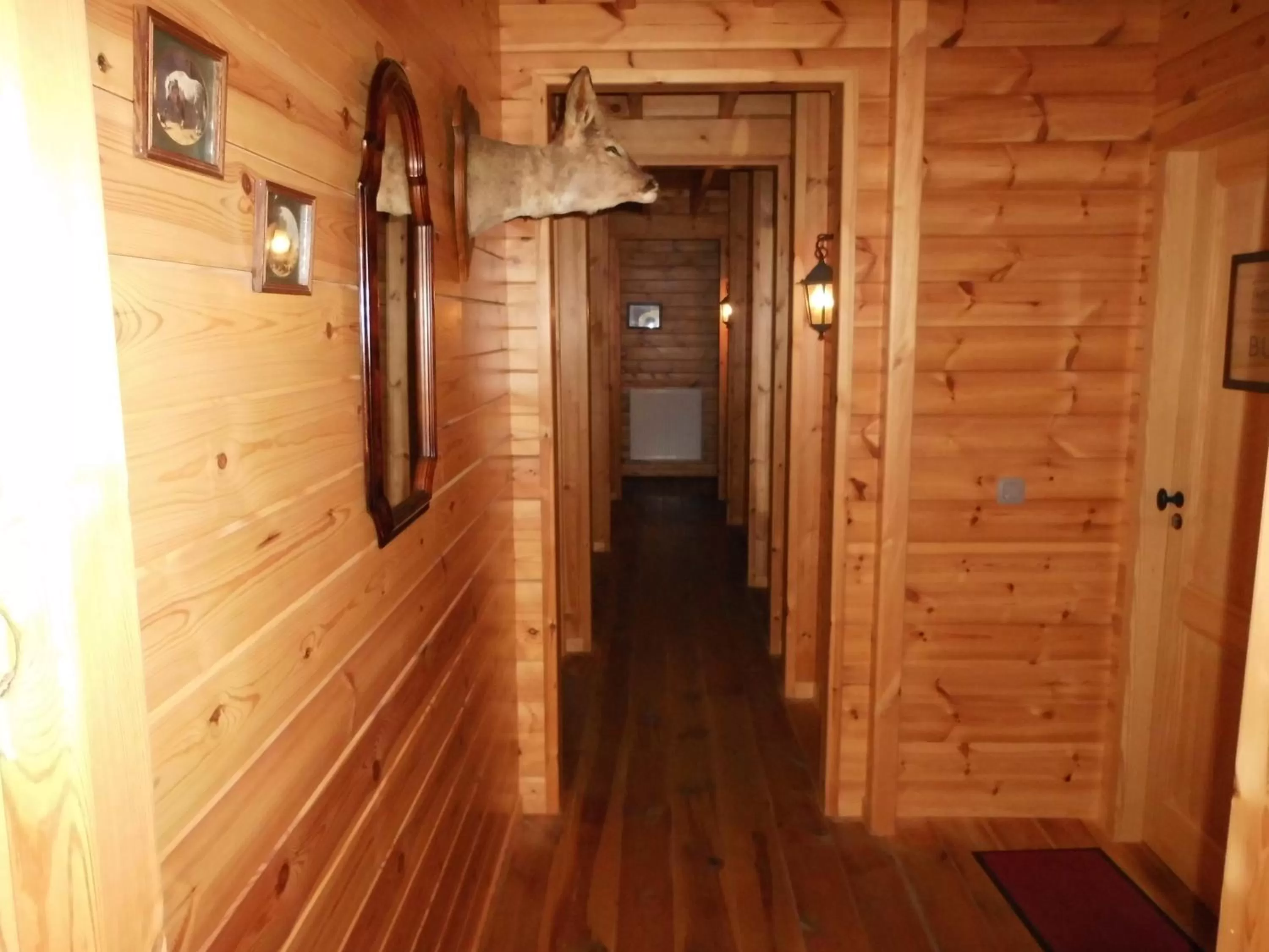 View (from property/room) in B&B Willow Springs Way Station