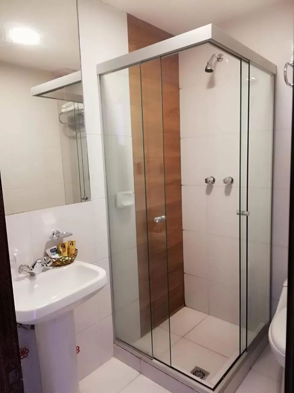 Shower in Hotel Madrid