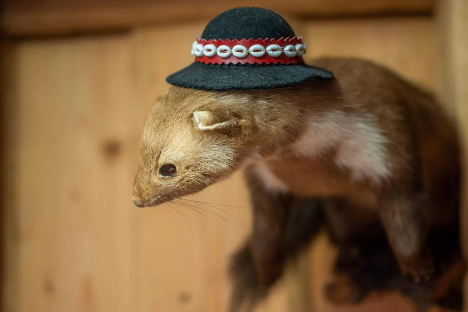 Decorative detail in Pokoje Gościnne U Małgorzaty Jacuzzi & Sauna