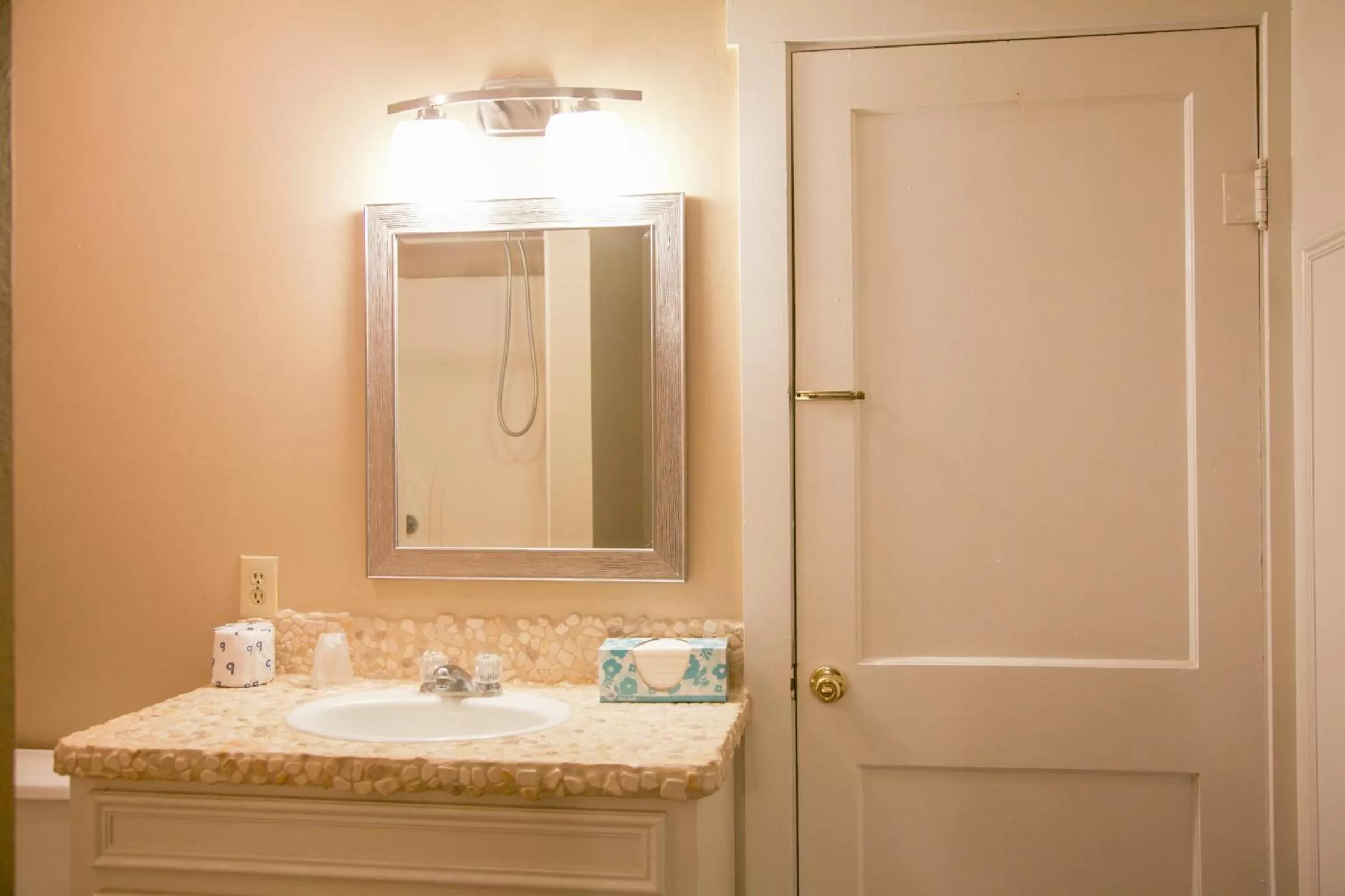 Bathroom in Shiner Country Inn