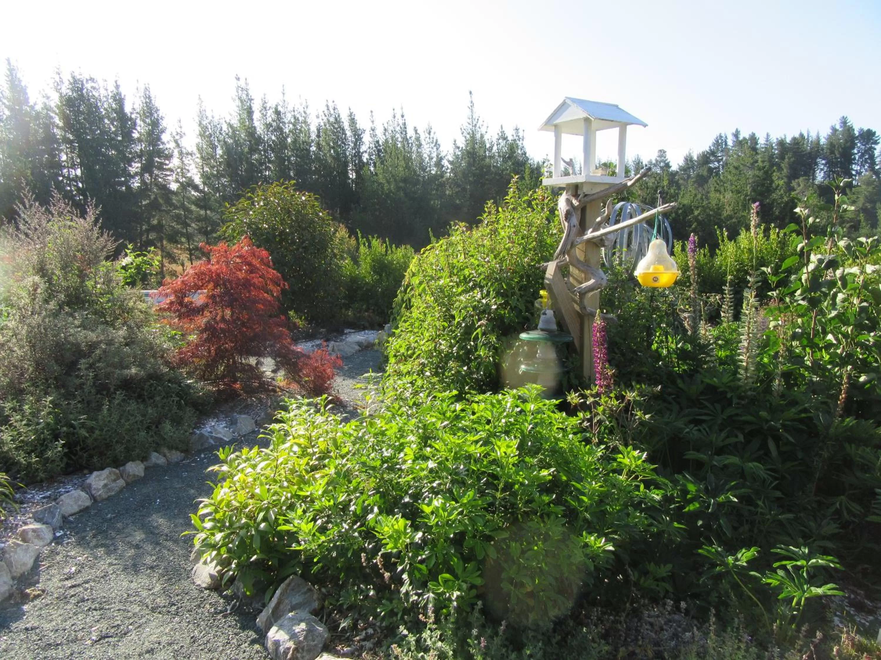 Garden in Redwood Valley B & B