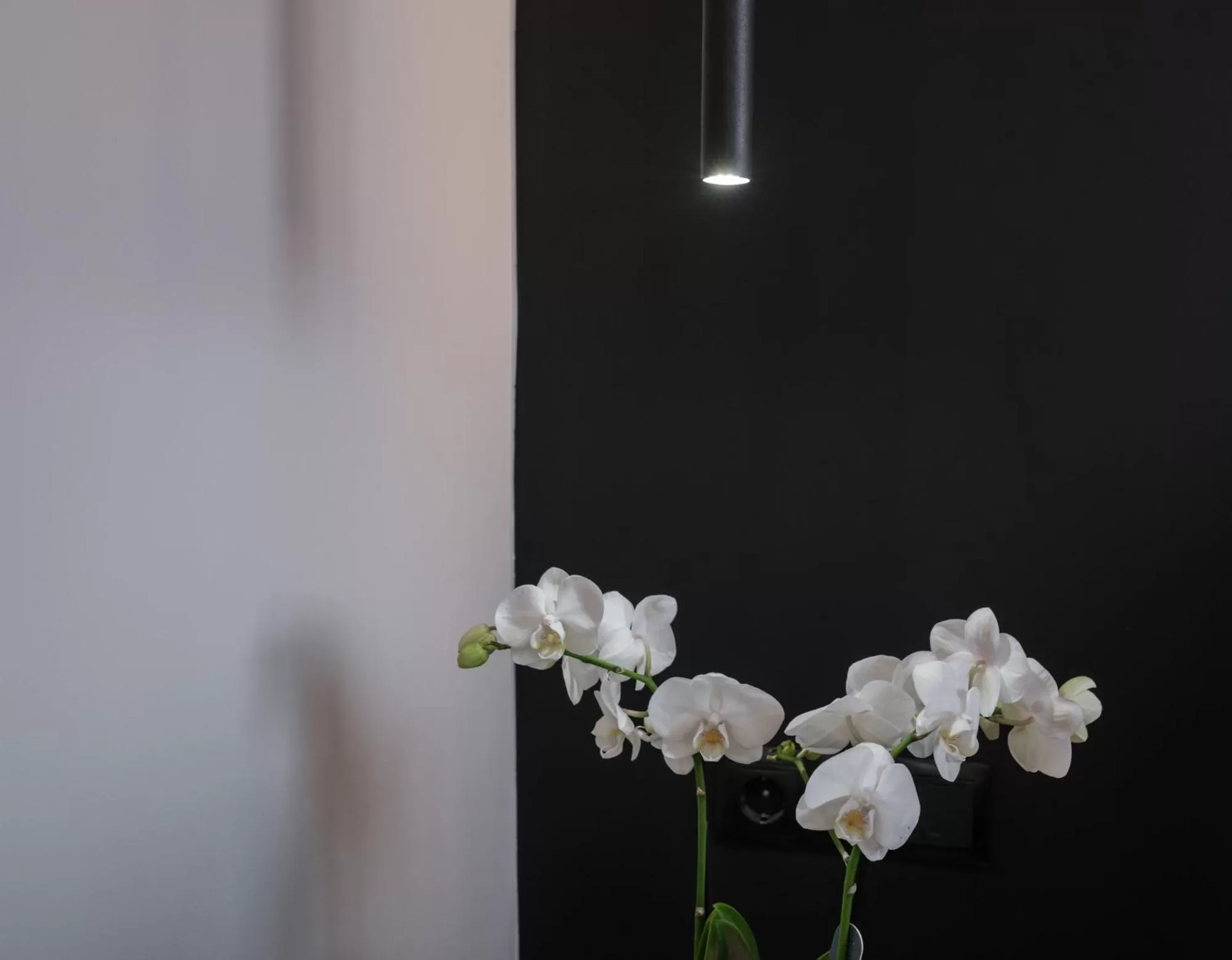 Decorative detail in Golden Island Resorts